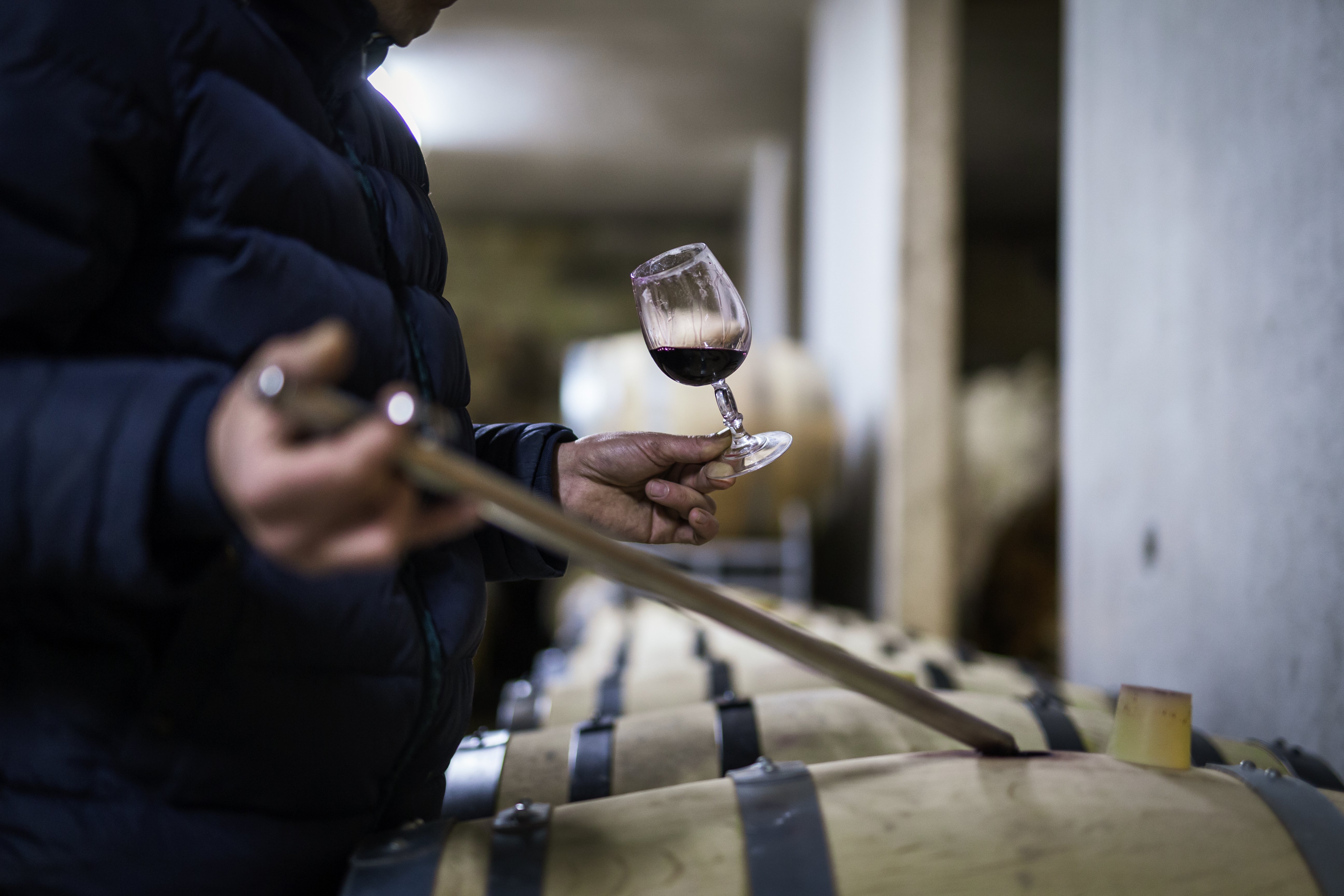 La Table du Vigneron, Bellefont-La Rauze - photo 2