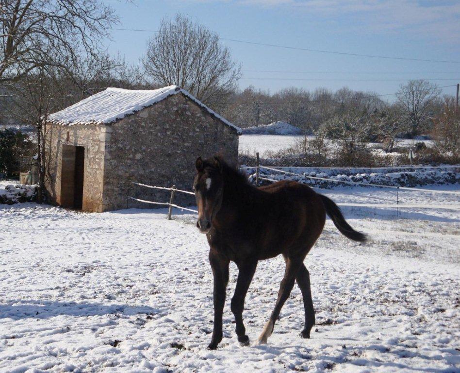 Mas de Fraysse, Escamps - photo 7