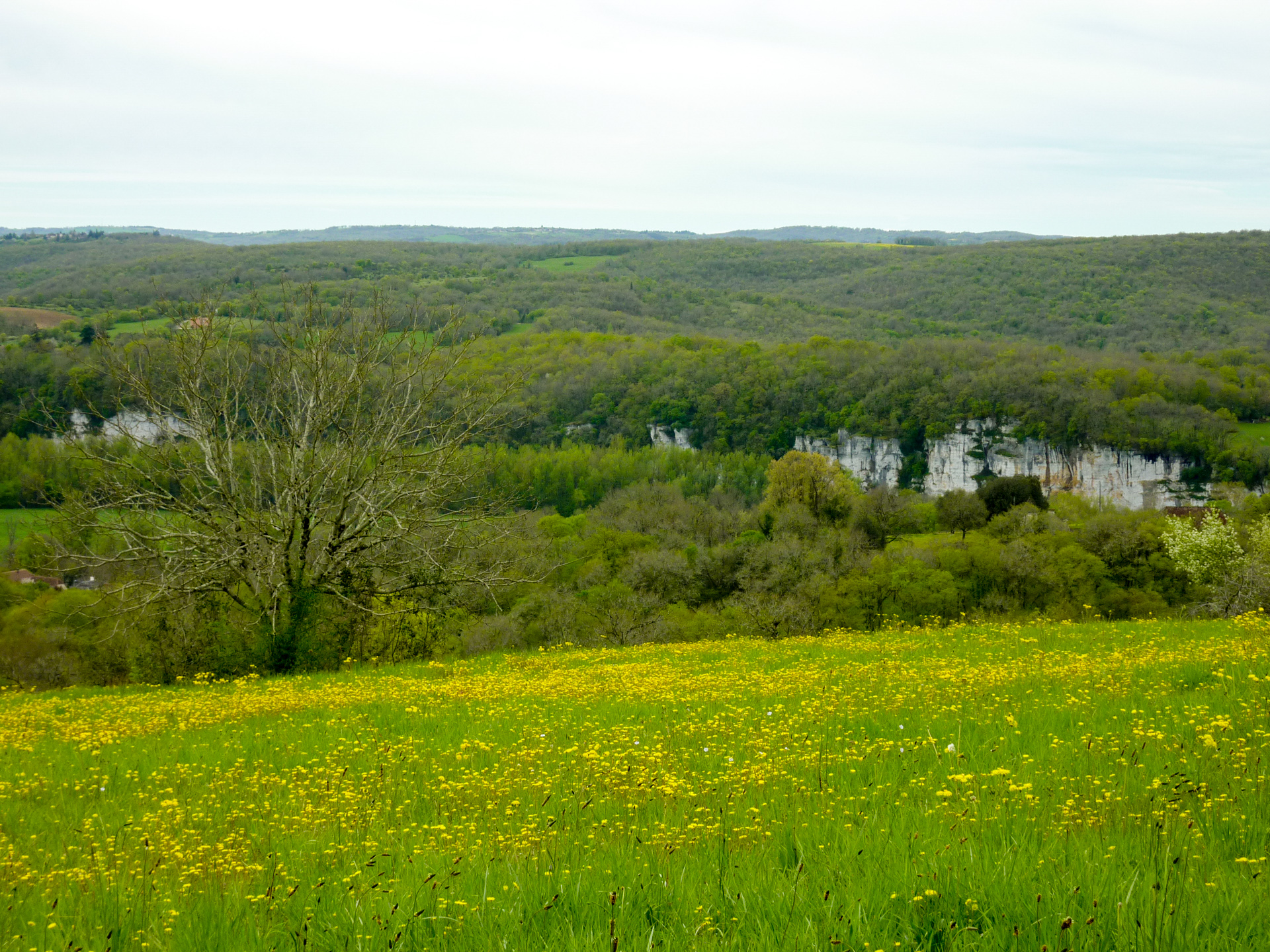 Miramont - Grandes étendues surplombant la vallée © Lot Tourisme - C. Sanchez