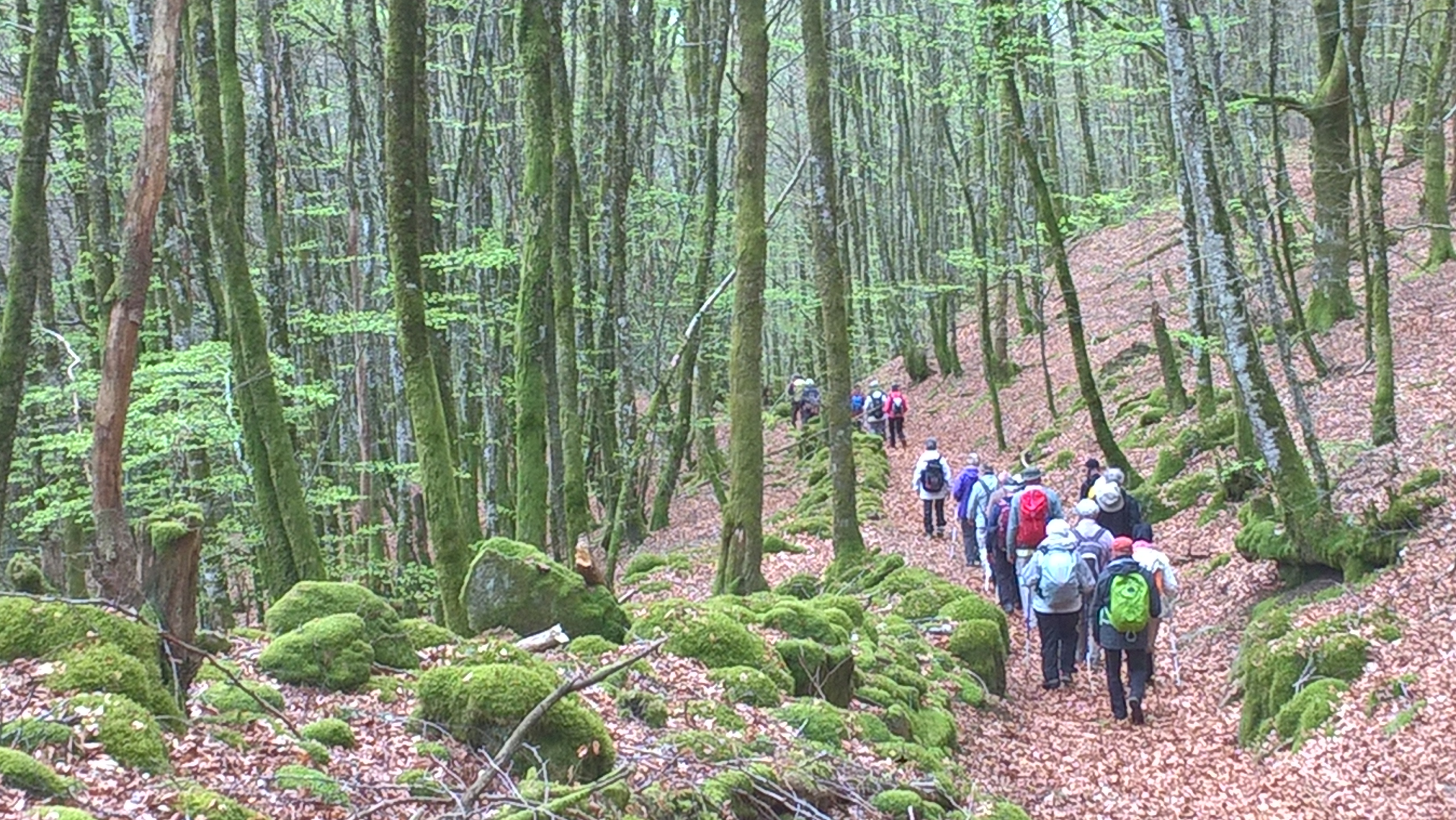 Caracole Nature - La Rando en Vallée de la Dordogne, Saint-Michel-de-Bannières - photo 7