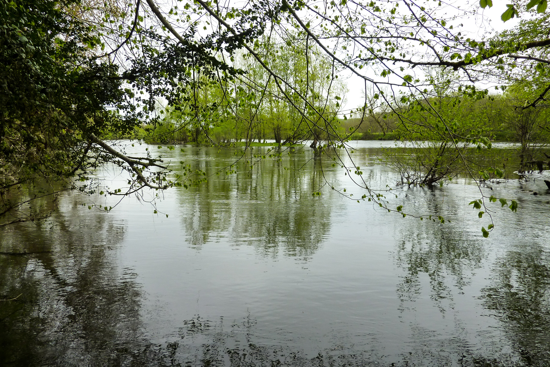 Monges - Passage sur les berges de la Dordogne © Lot Tourisme - C. Sanchez