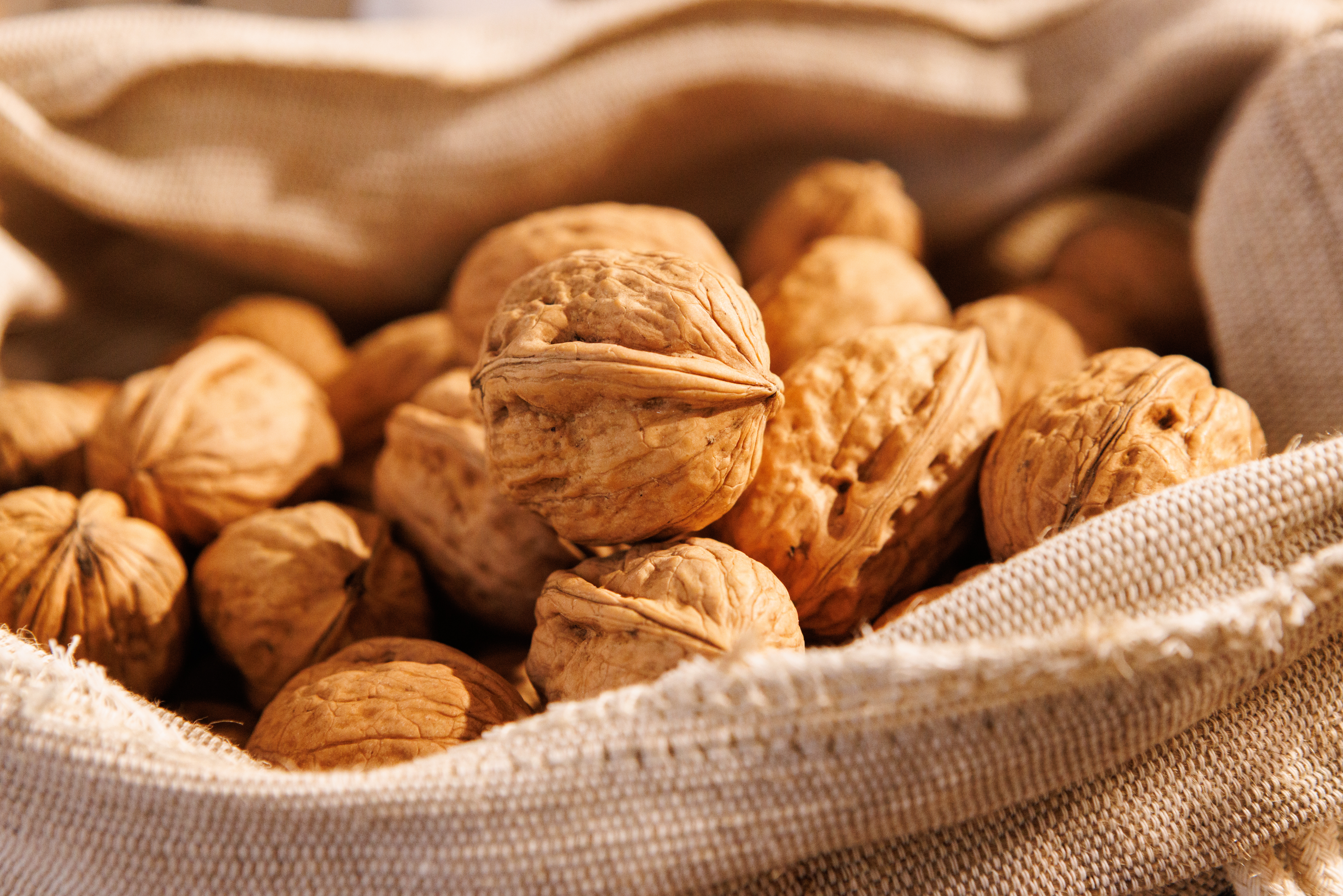 Moulin à Huile de Noix