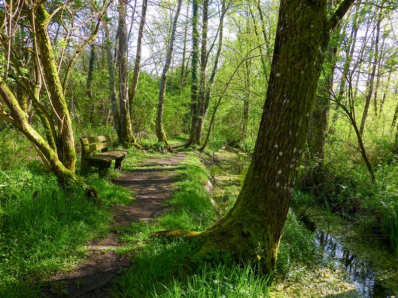 Mrais de Bonnefont - Pause le long du ruisseau _13 © Lot Tourisme - C. Sanchez