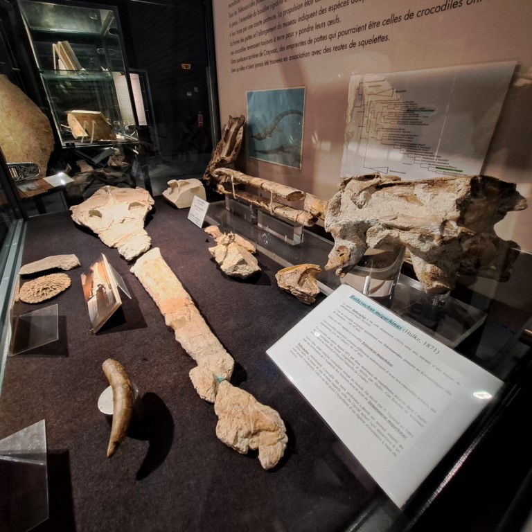Ichnospace, empreintes et traces de dinosaures, Luzech - photo 4