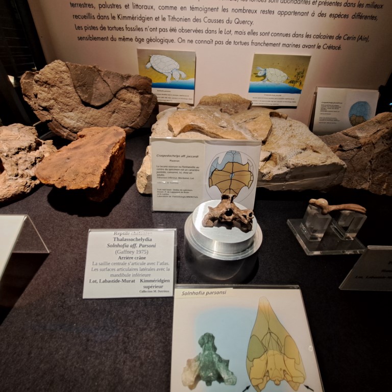 Ichnospace, empreintes et traces de dinosaures