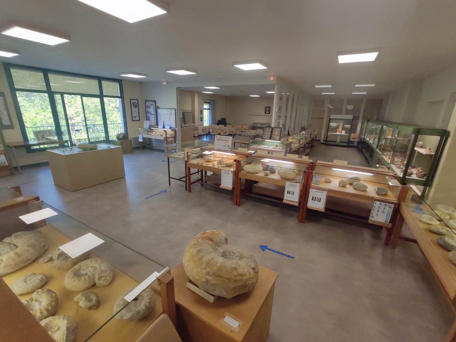Musée Municipal Armand Viré - Espace Ammonites / Espace Archéologique, Luzech - photo 9