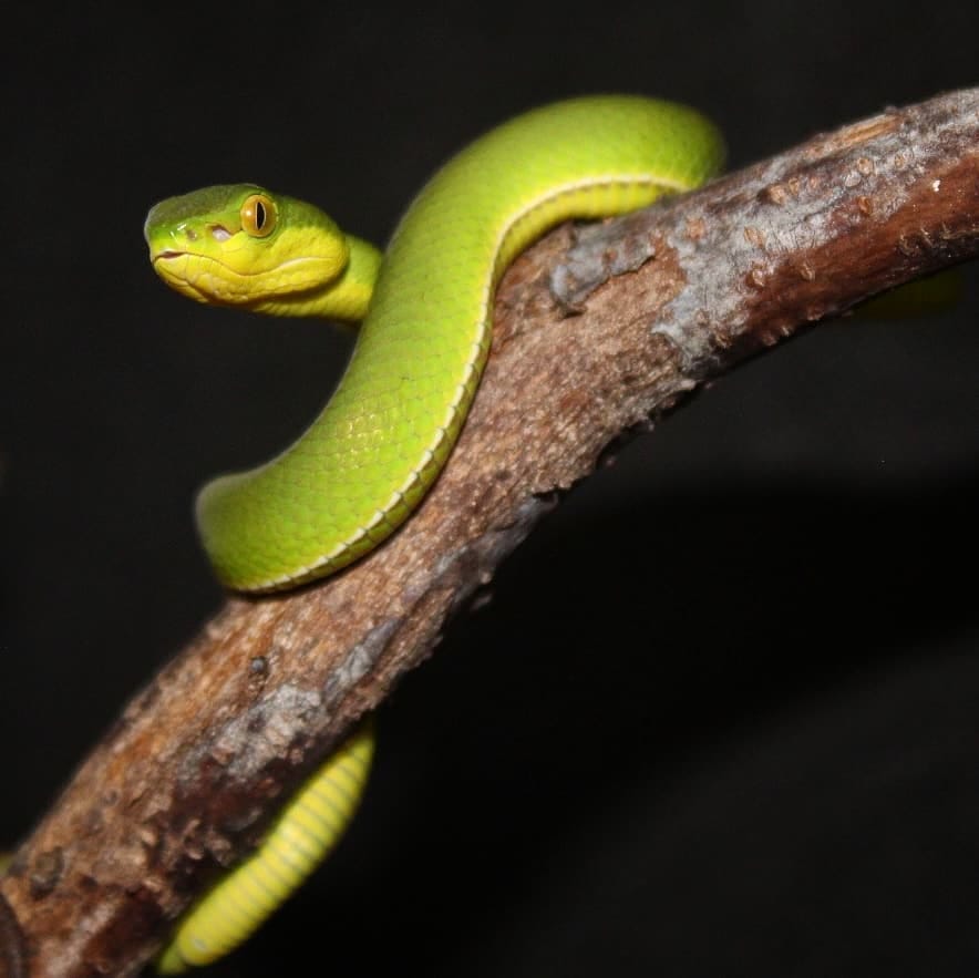 PadiParc, Padirac - photo 7