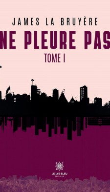 Lecture " Ne pleure pas " un roman de James la Bruyère