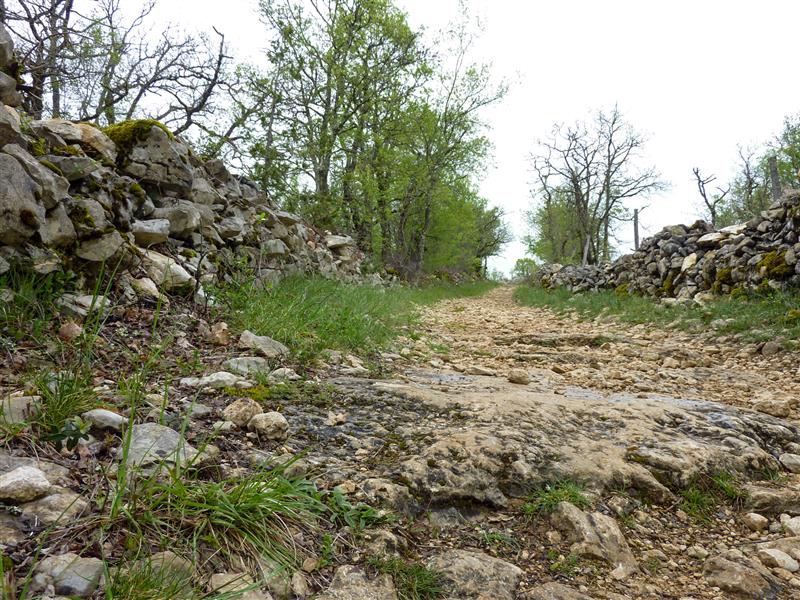 Néguebout - Chemin de pierre blanche © Lot Tourisme - C. Sanchez