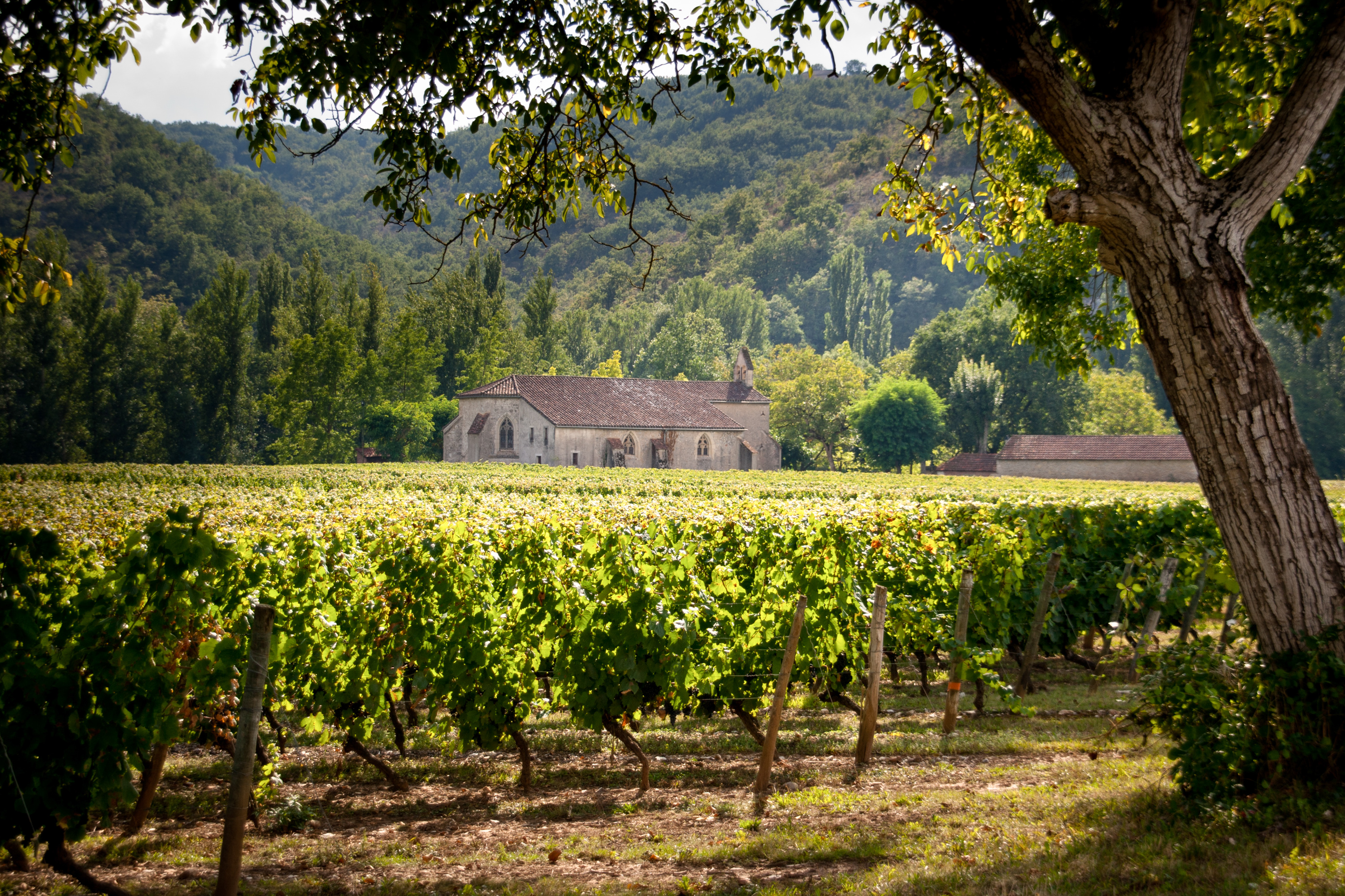 Chapelle Notre-Dame de l'Ile