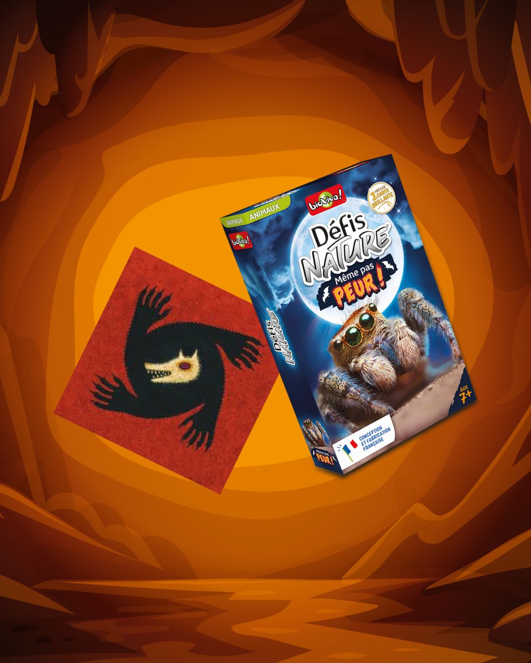 Après-midi jeux au Parc Animalier