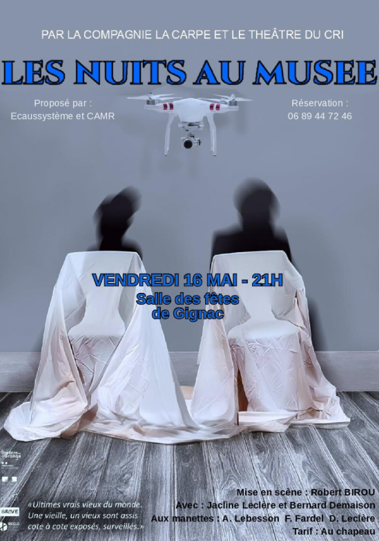 Théâtre - Les nuits au musée