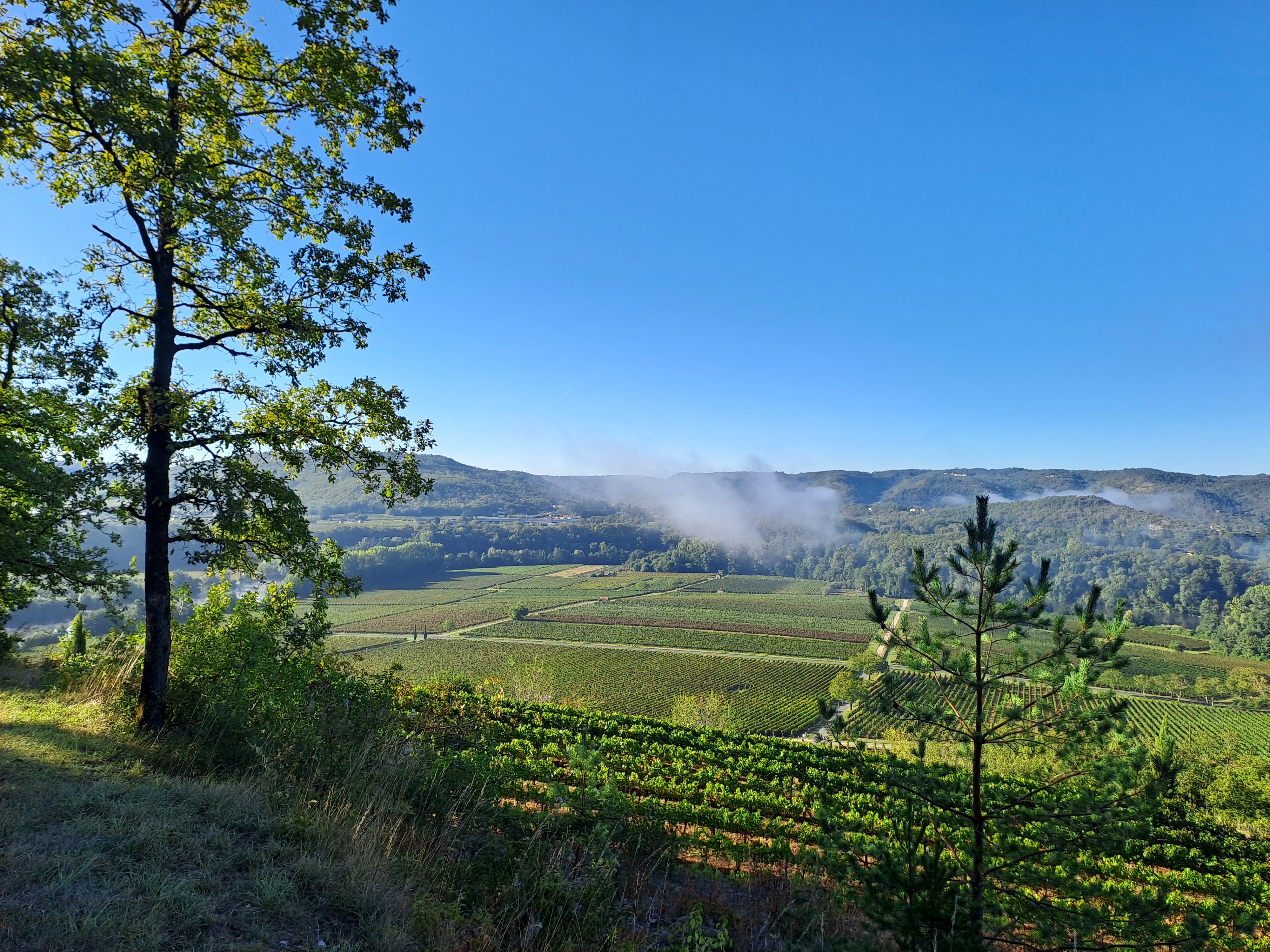 Domaine des Etoiles, Lherm - photo 22