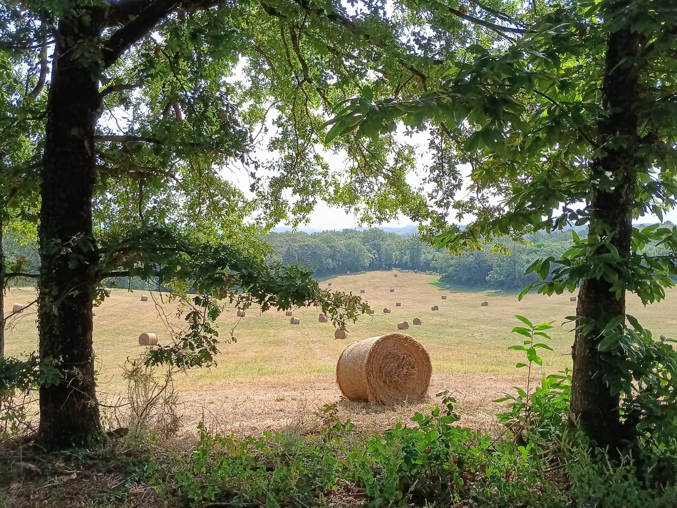 Domaine des Etoiles, Lherm - photo 24