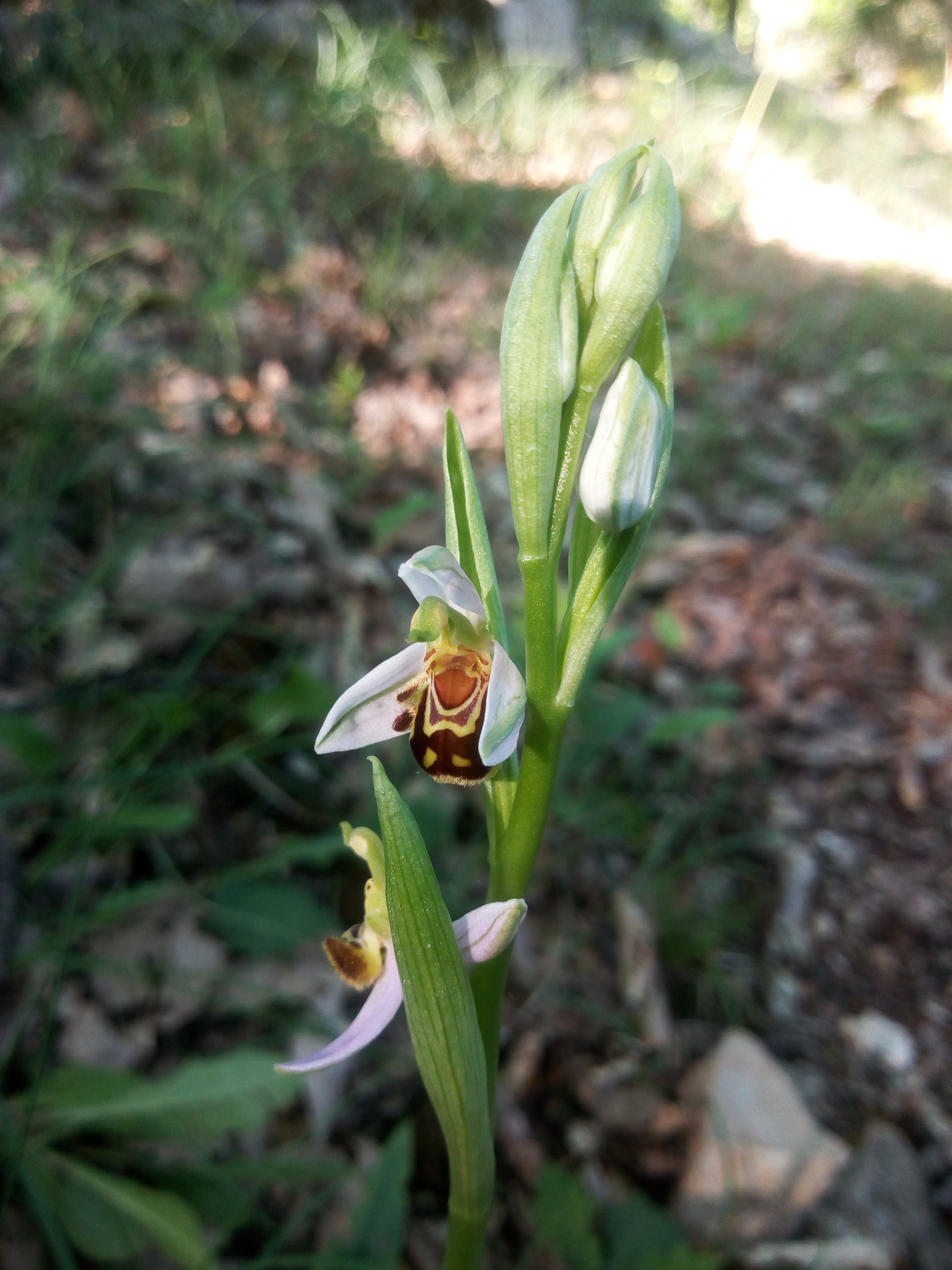 Aventure & vous, Grèzes - photo 12