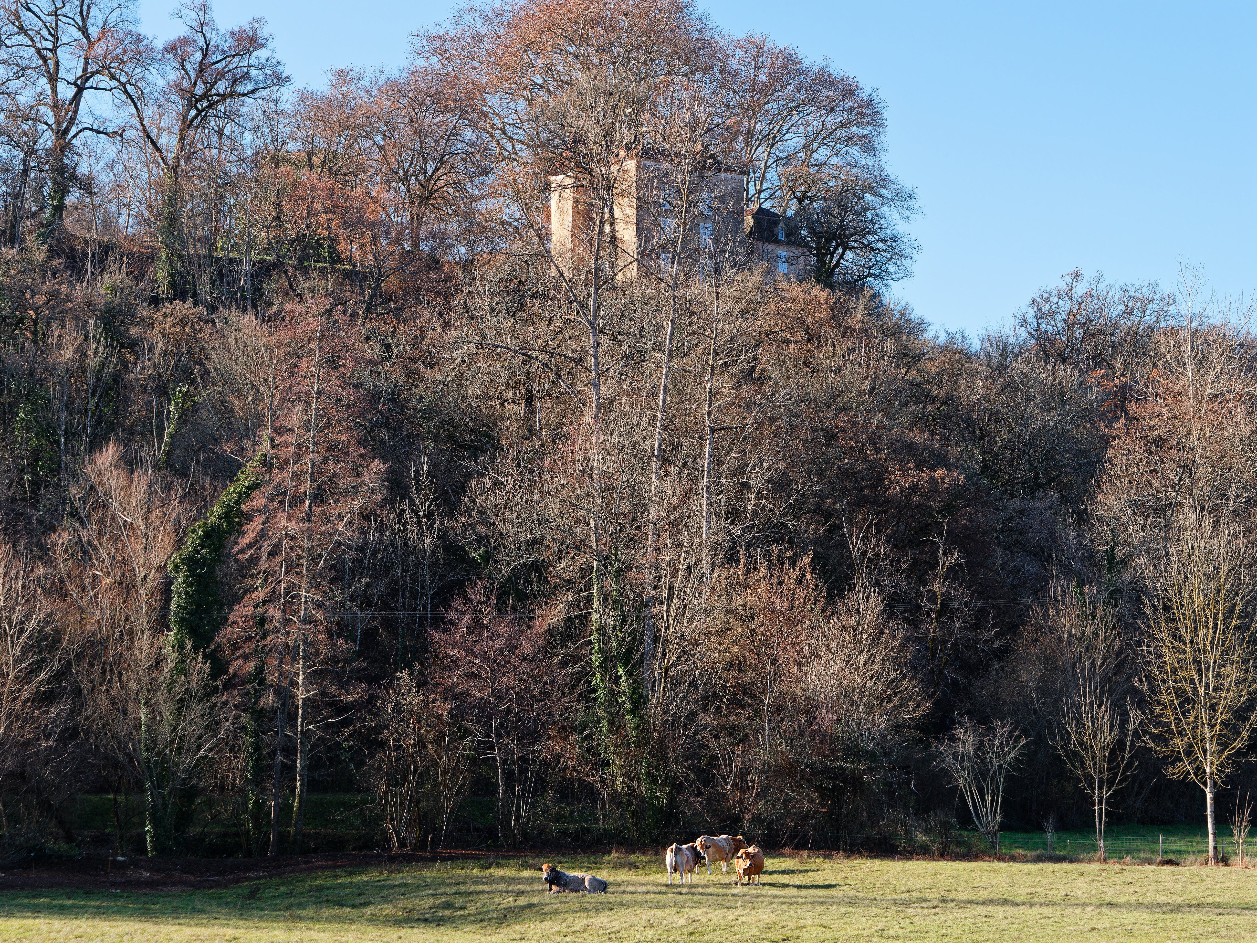 La Source du Touron, Fons - photo 10