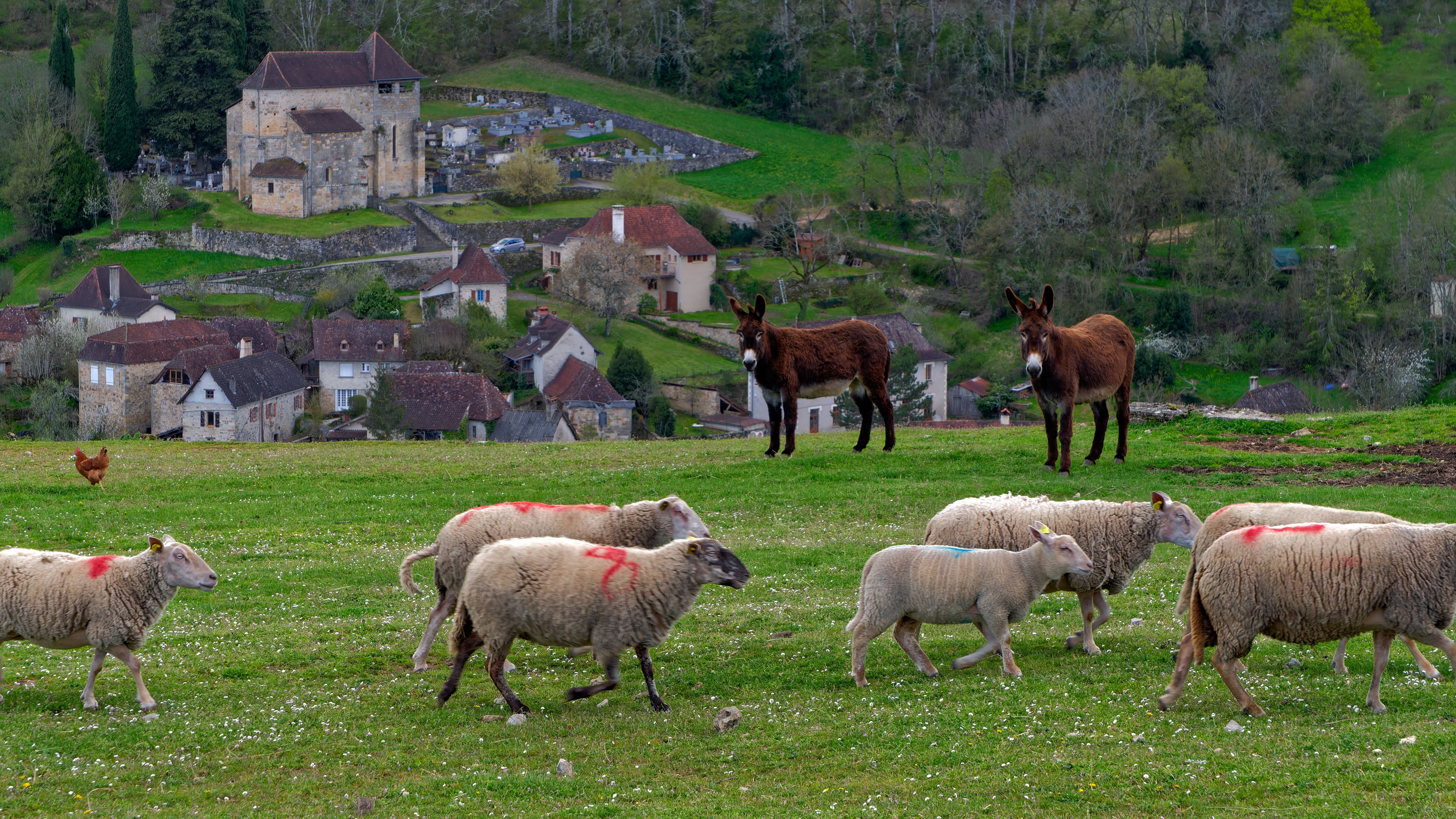 La Source du Touron, Fons - photo 11