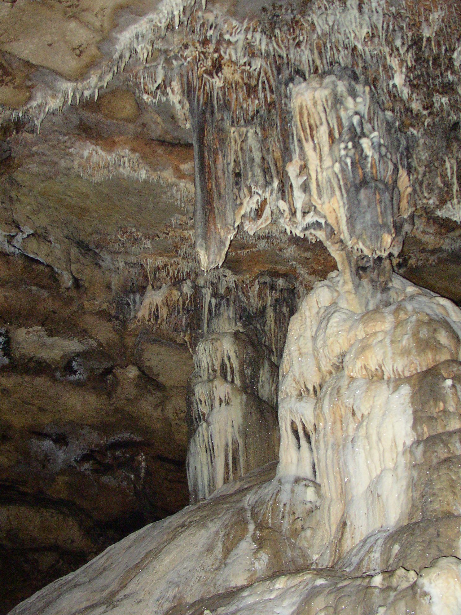 Camping naturiste Lalbrade, Lugagnac - photo 7