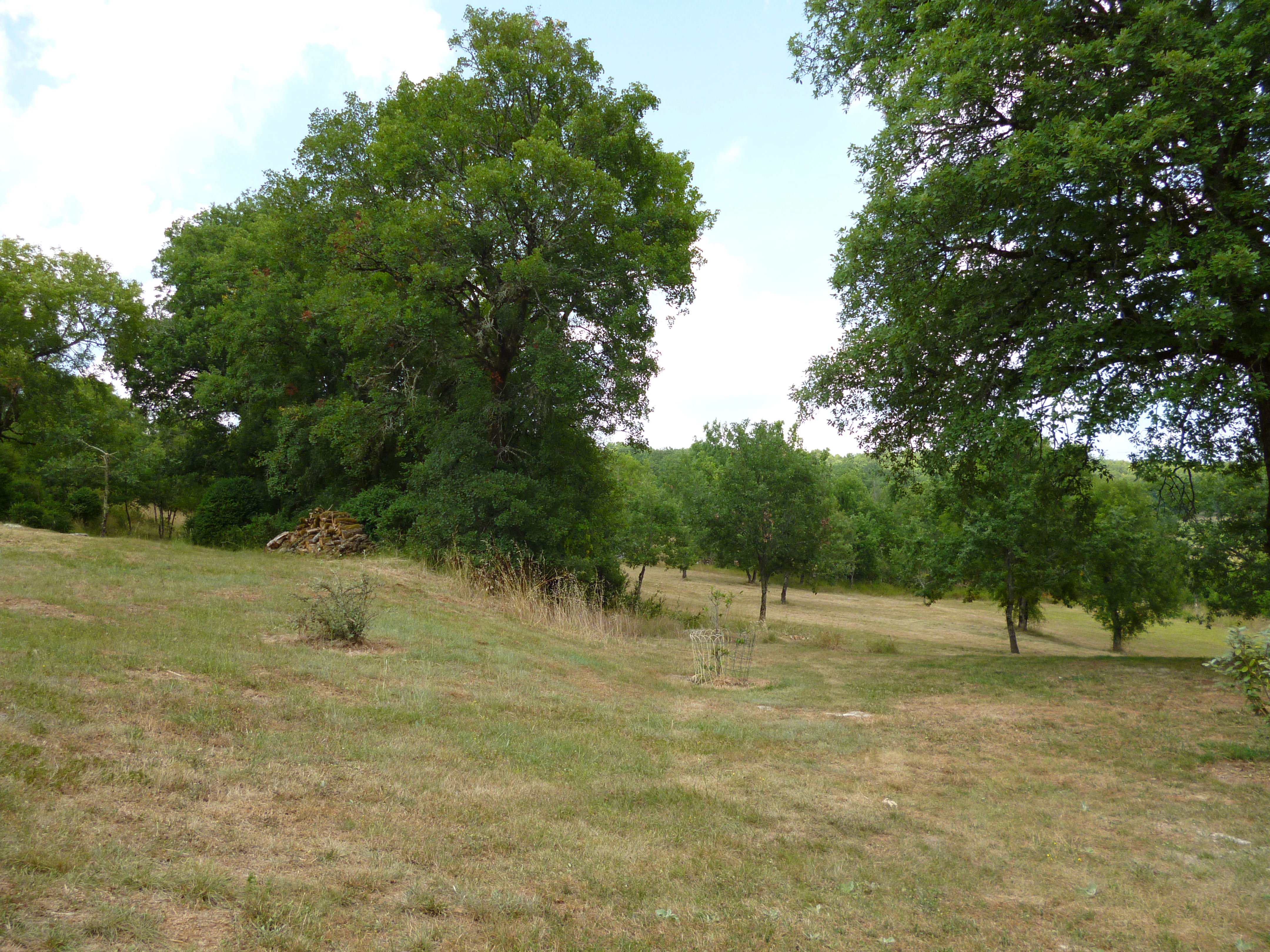 La Grangette, Saint-Martin-Labouval - photo 5
