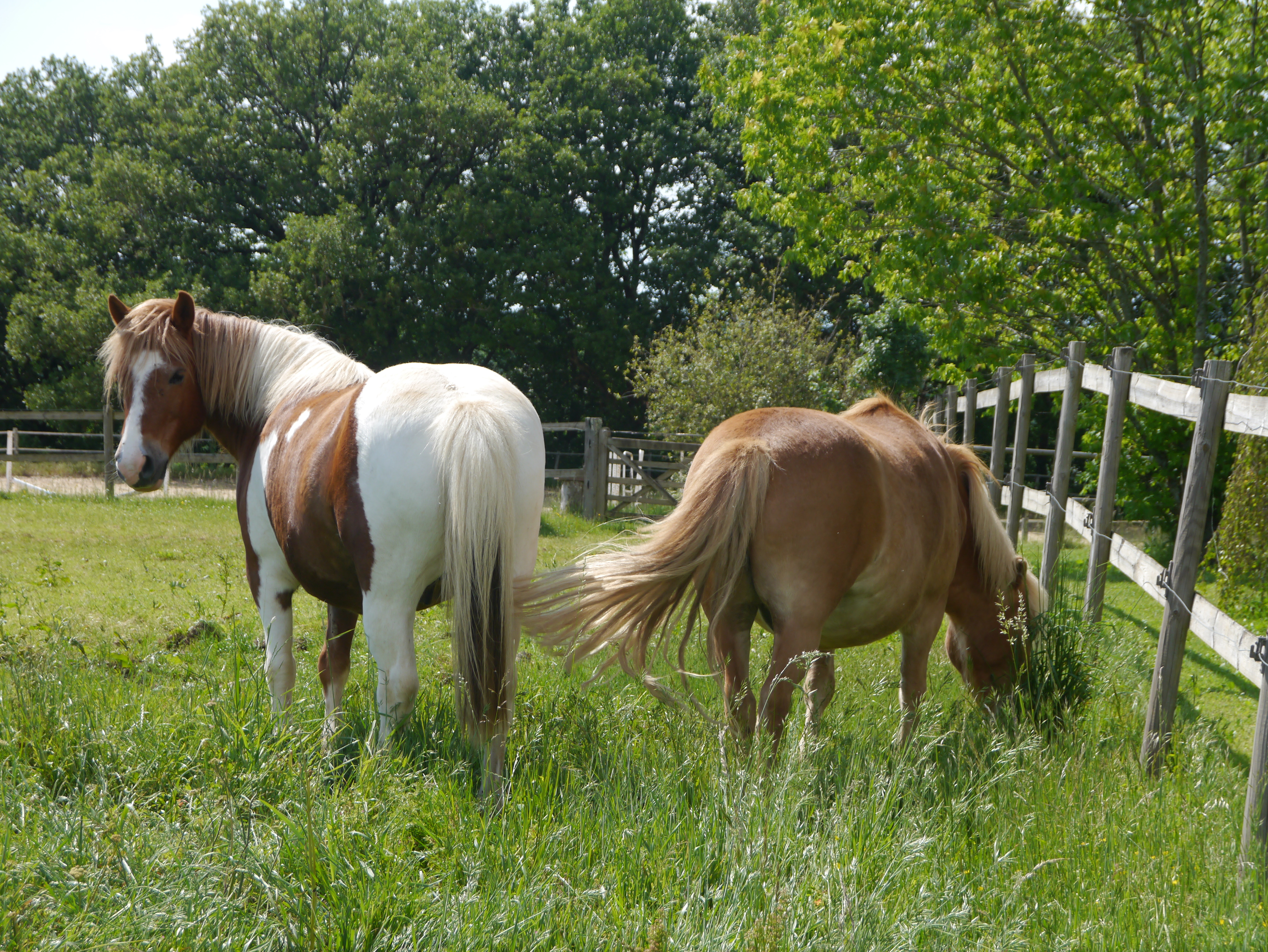La Maison de la Doline, Martel - photo 24