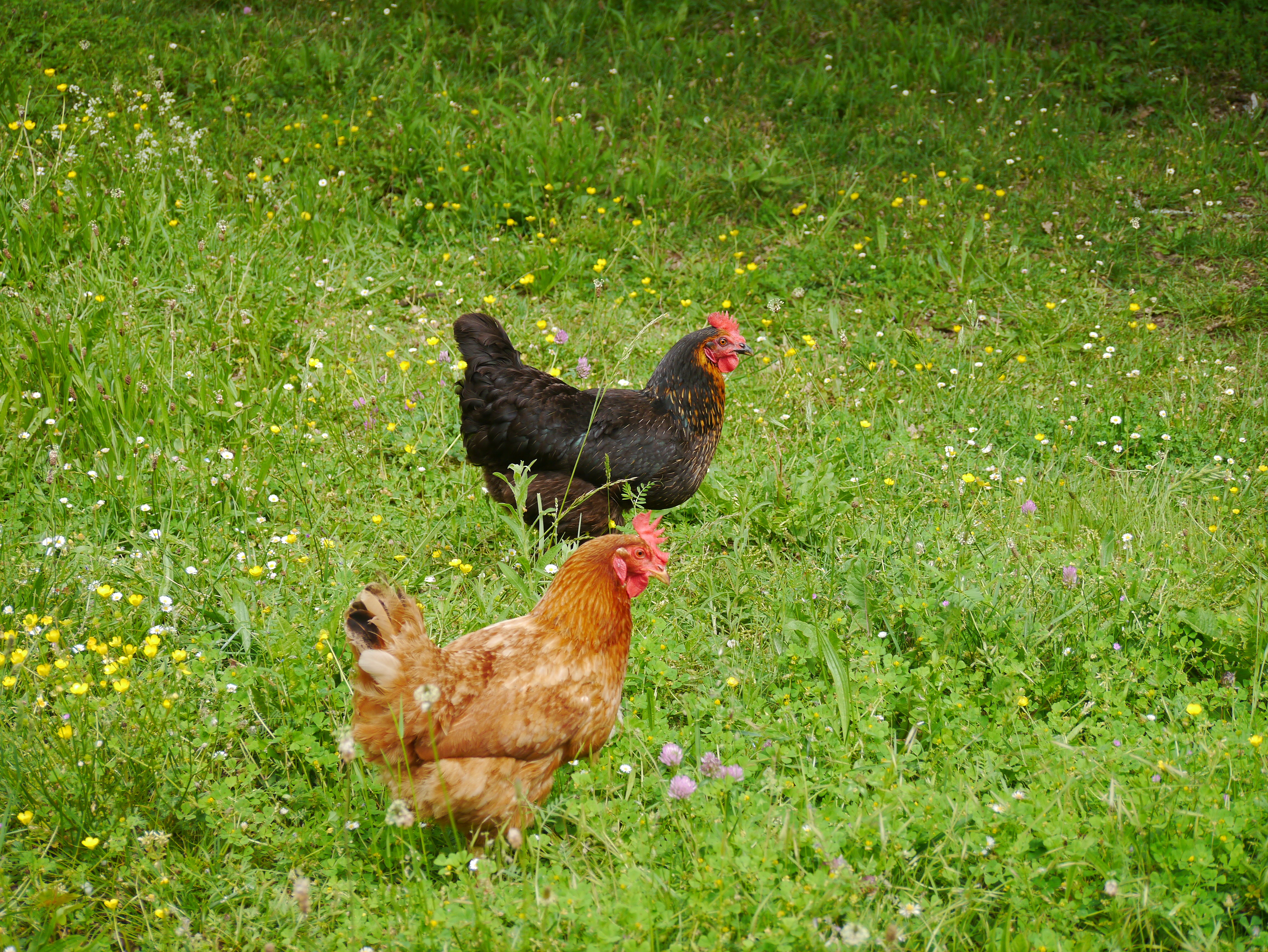 La Maison de la Doline, Martel - photo 25