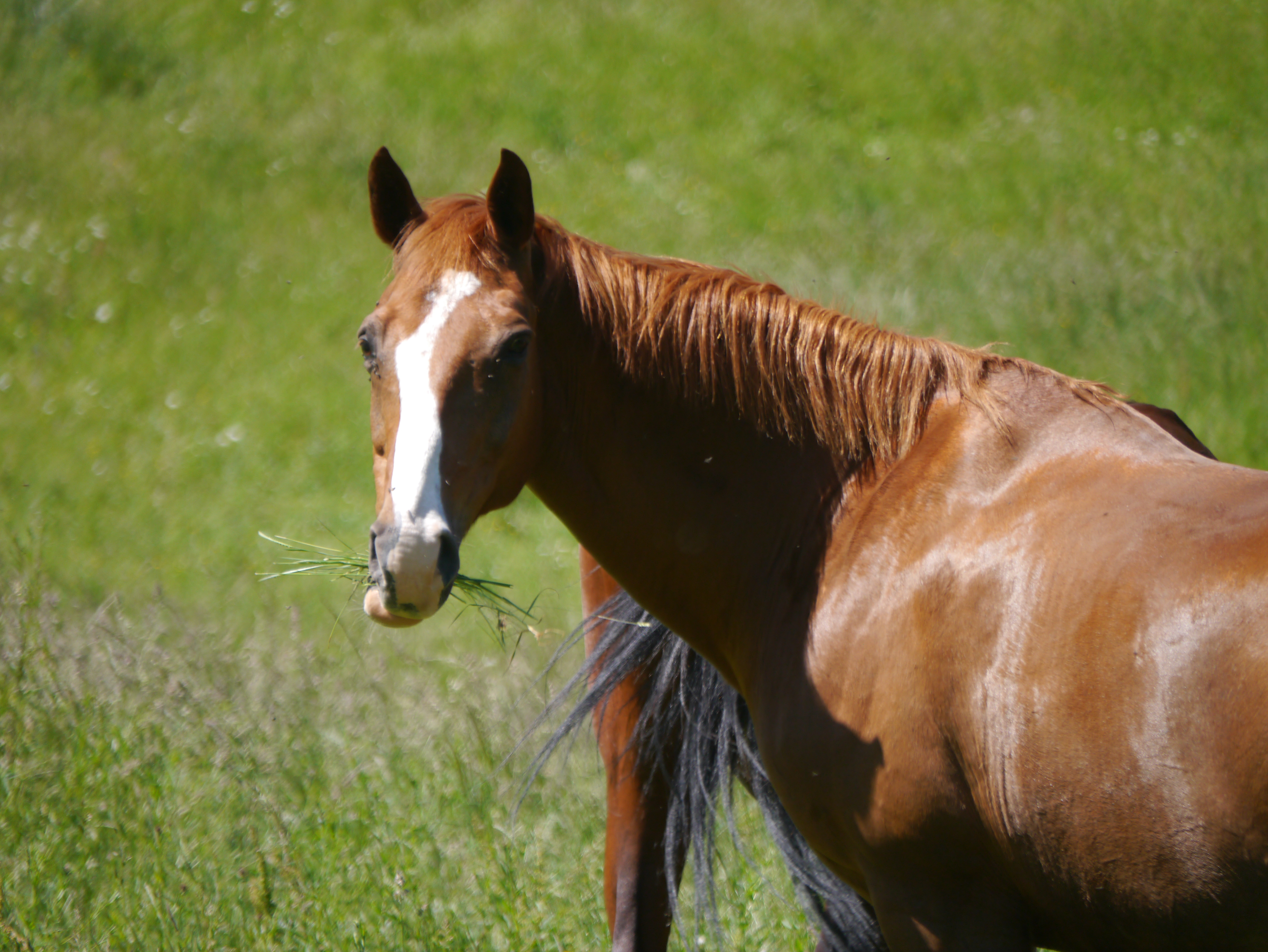 La Maison de la Doline, Martel - photo 27