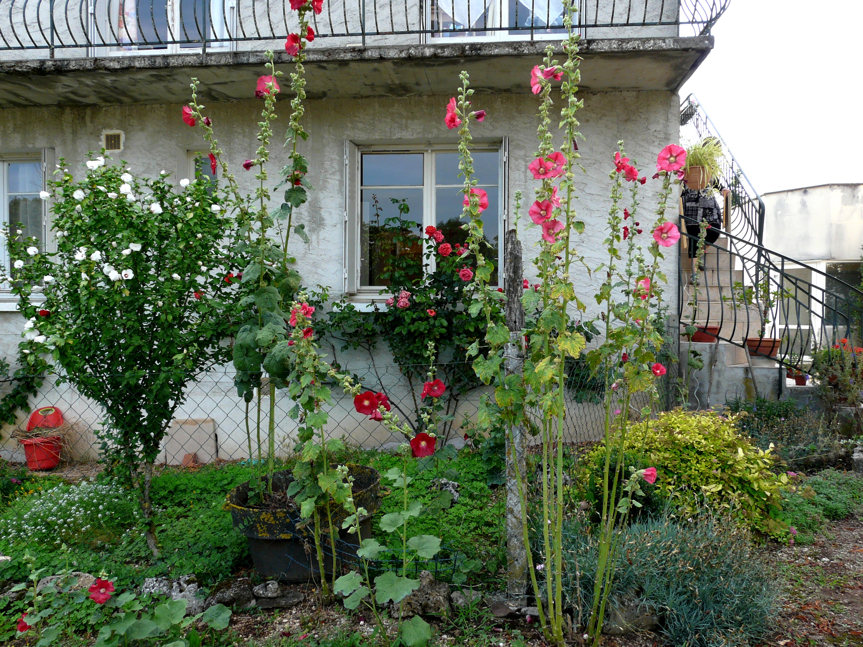 Les Chambres D'Hôtes De Clémence, Cuzance - photo 7