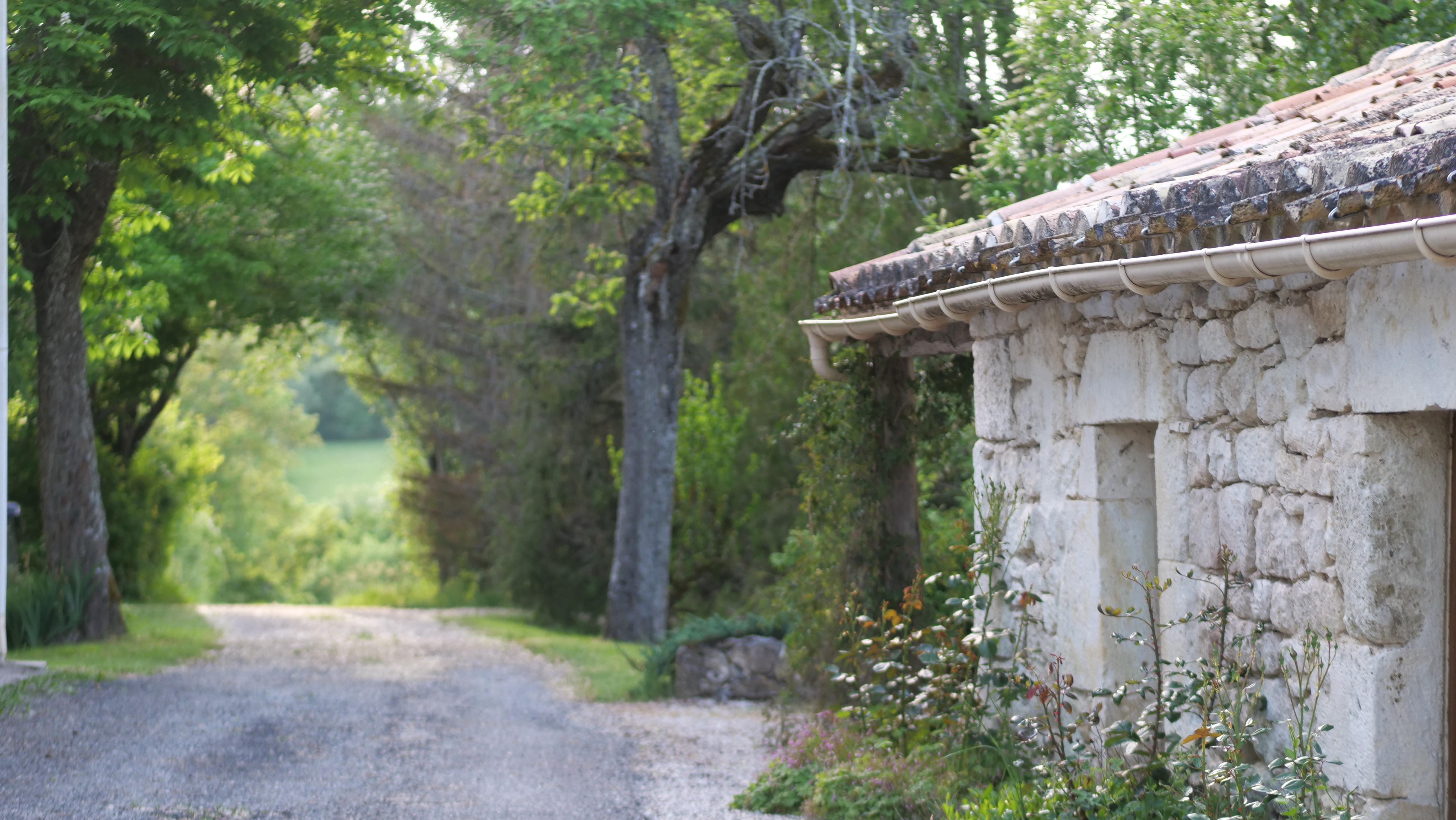 Mas Labrugade - Le Coquet, Montcuq-en-Quercy-Blanc - photo 13