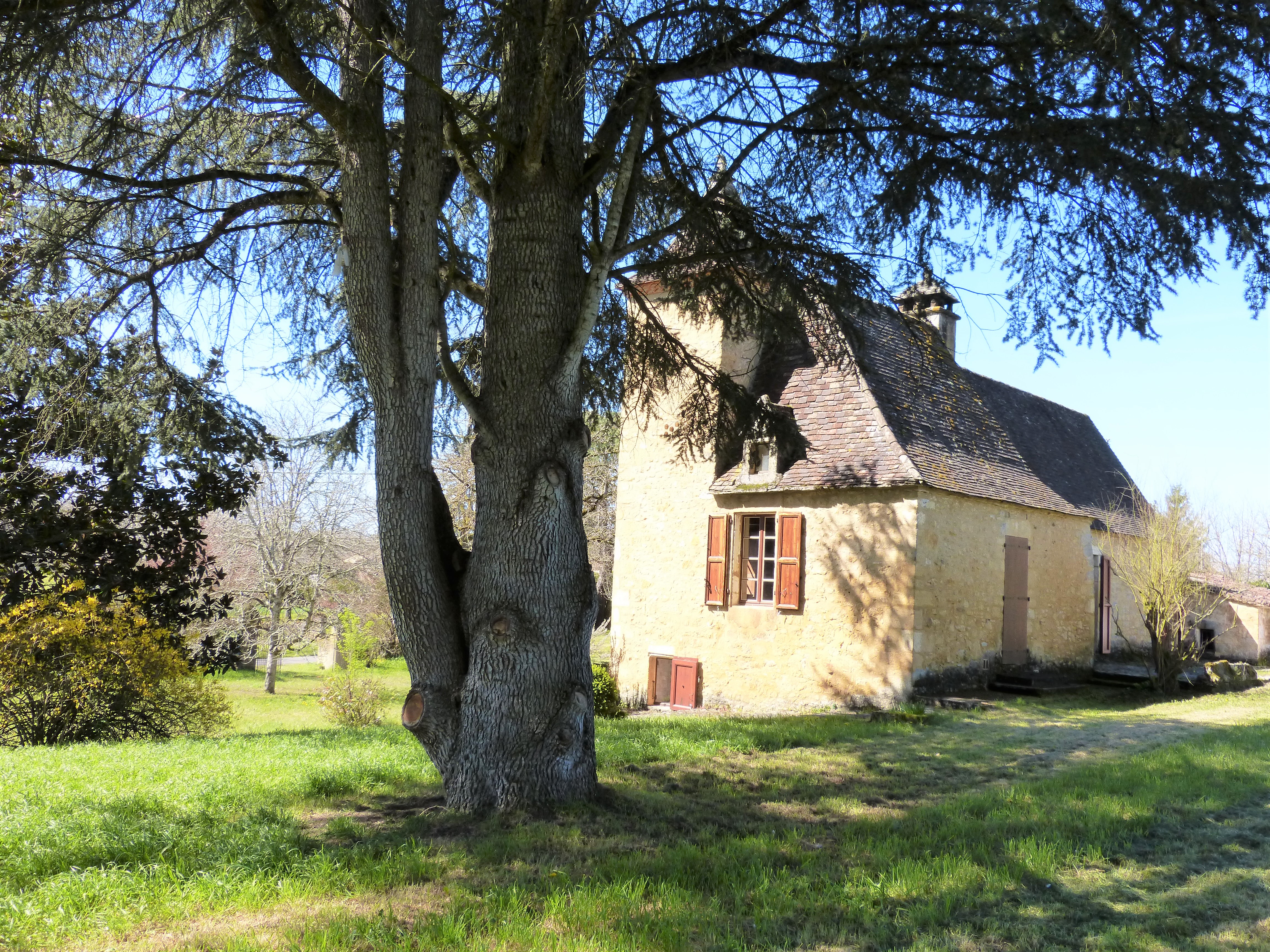 Grande maison familiale typique du Quercy, à deux pas de Sarlat, vallée de la Dordogne, Milhac - photo 18