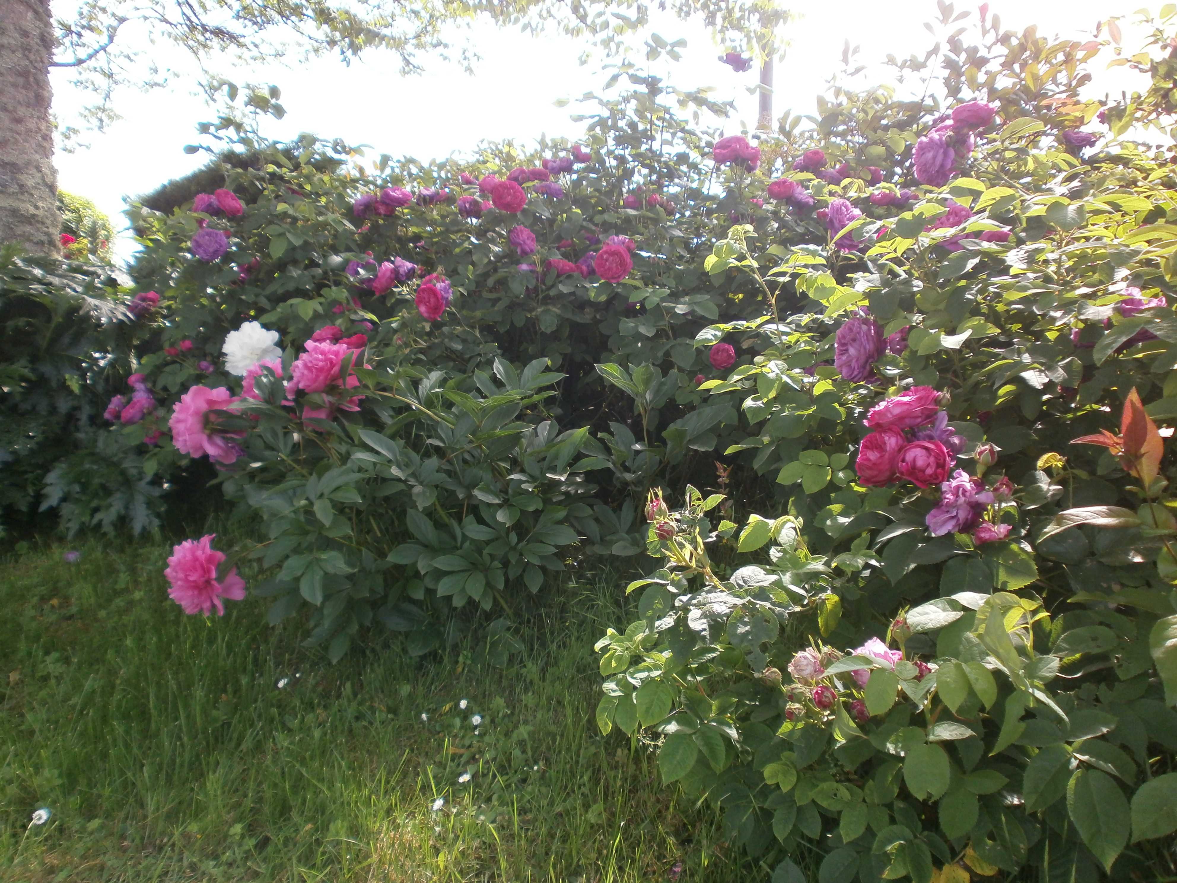 Gîte du château de Lantis, Dégagnac - photo 7