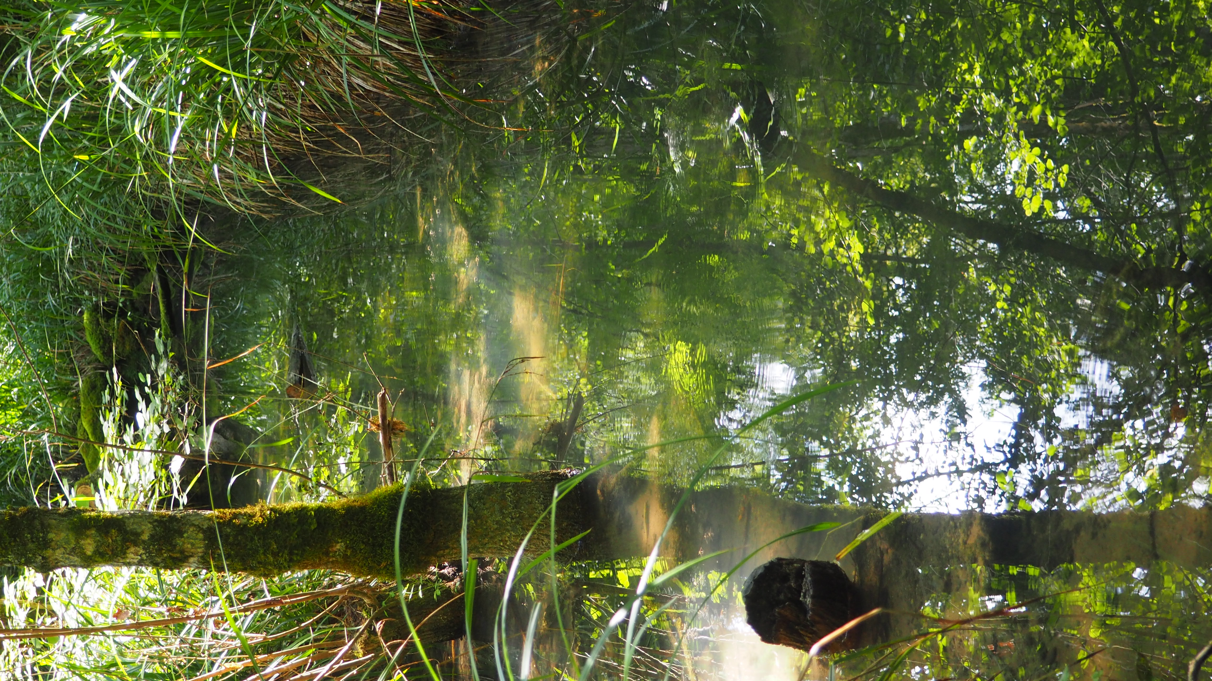 Moulin Bas Prés de la Rivière, Carnac-Rouffiac - photo 12