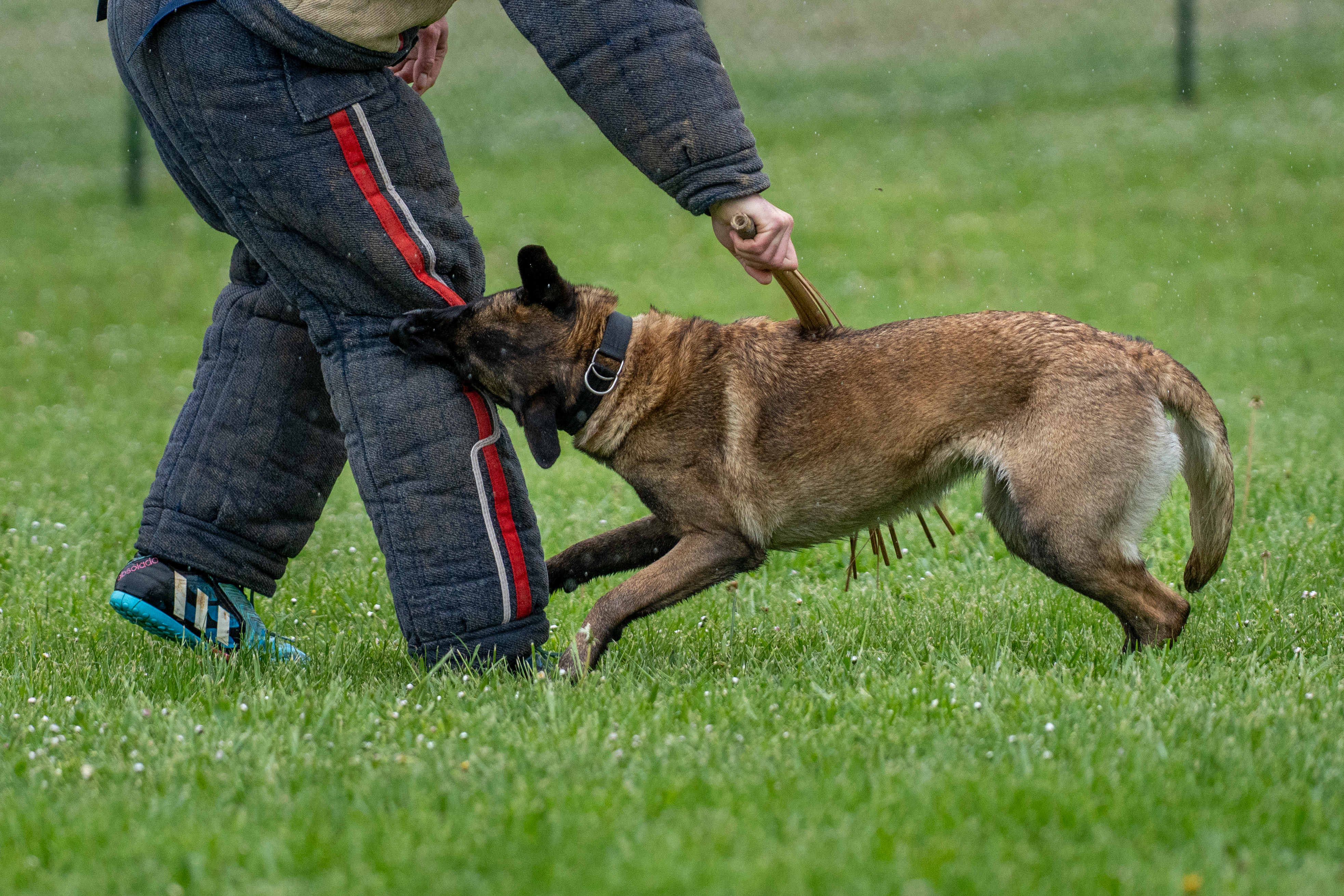 Centre National d'Instruction Cynophile de la Gendarmerie, Gramat
