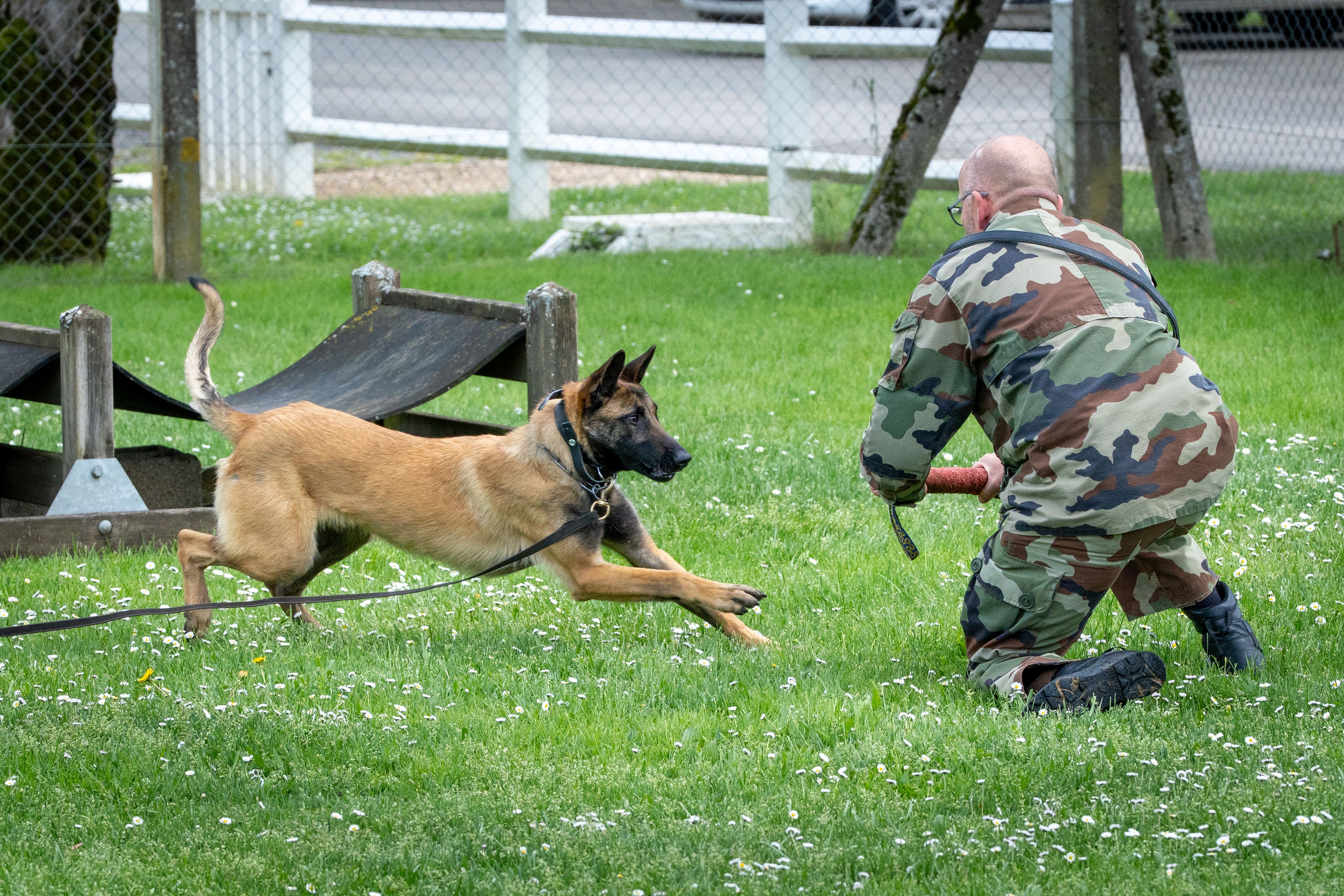 Centre National d'Instruction Cynophile de la Gendarmerie, Gramat - photo 3