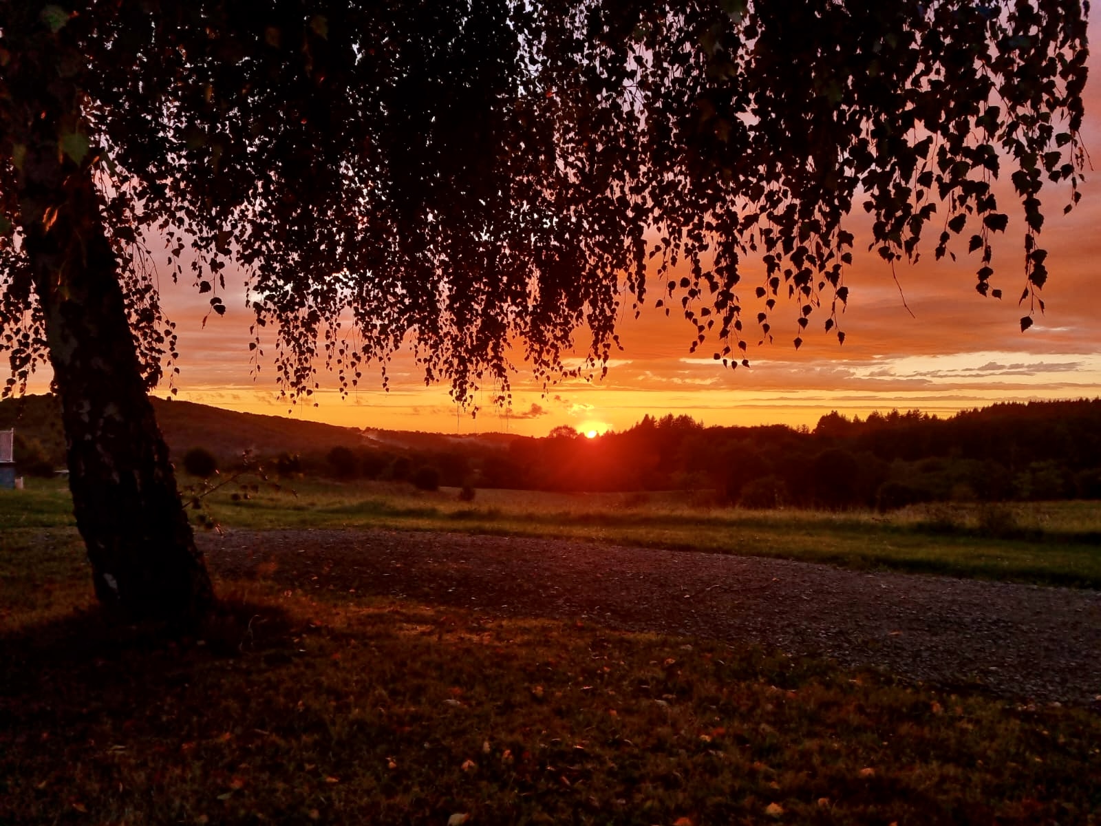 Domaine Les Teuillères, Sousceyrac-en-Quercy - photo 6