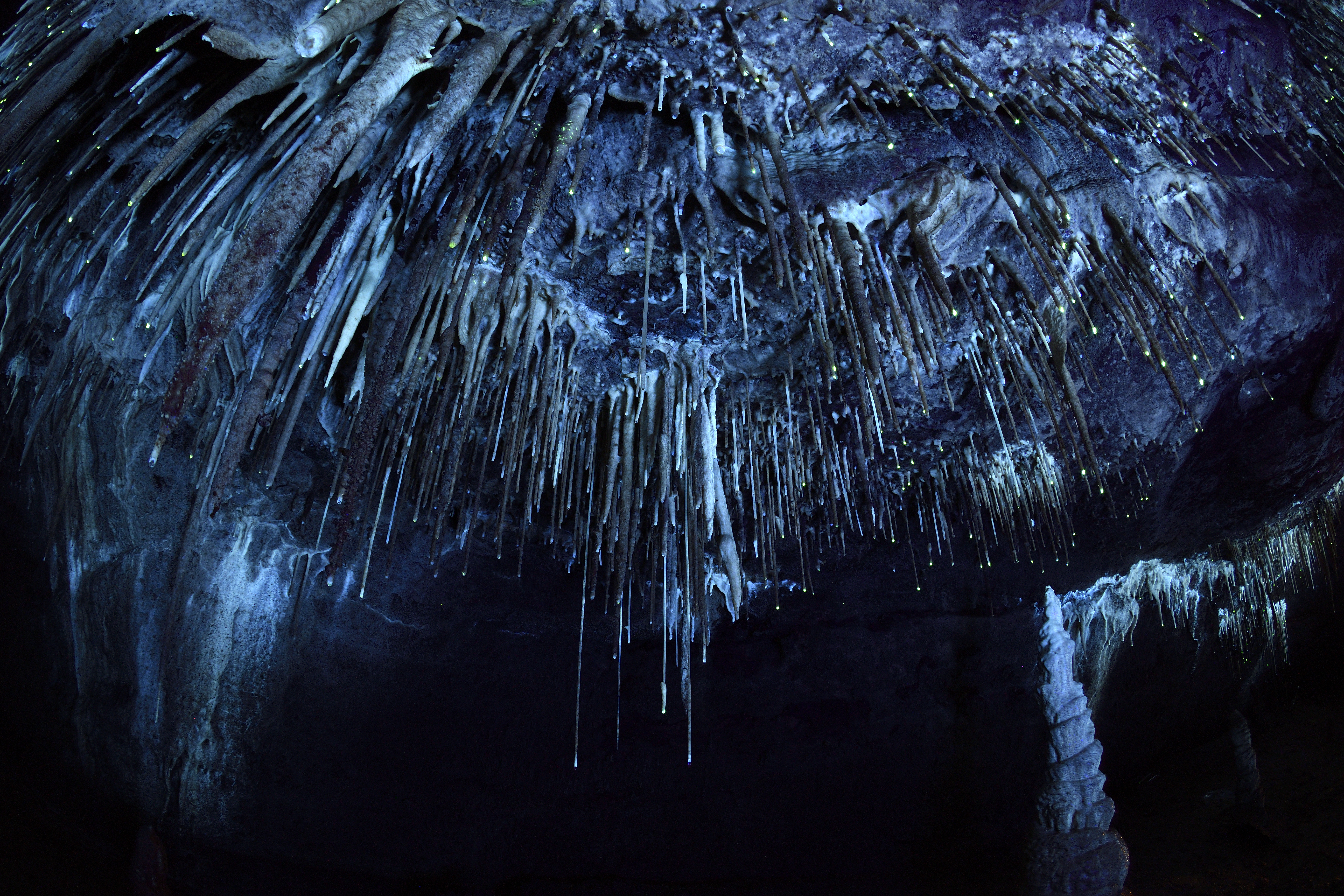 Salle des Lumières Noires