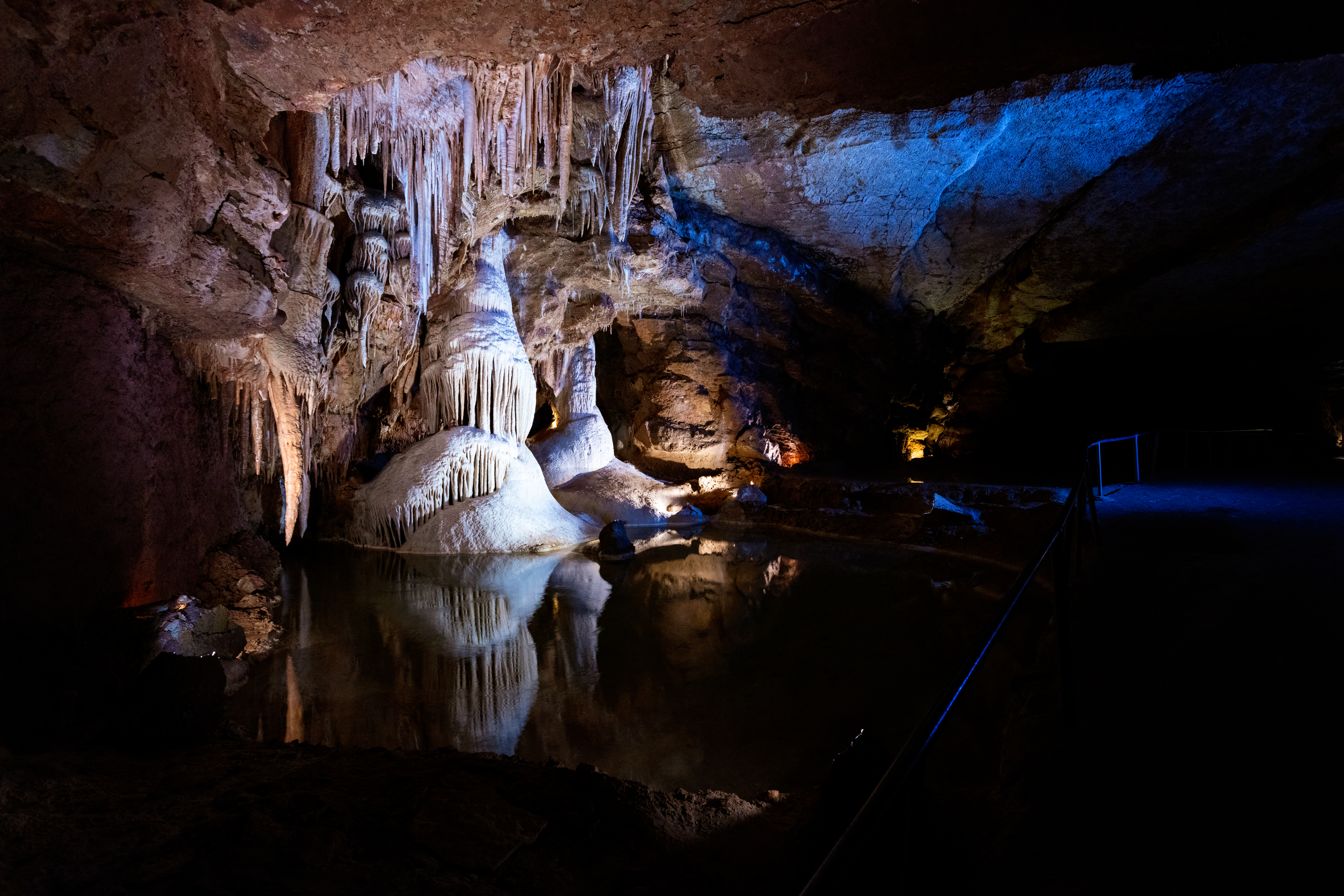 Salle de la Tarasque