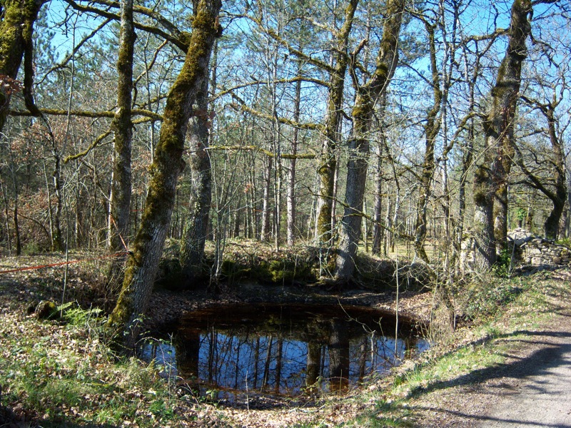 Circuit des Hameaux du Souillaguet, Saint-Cirq-Souillaguet - photo 4
