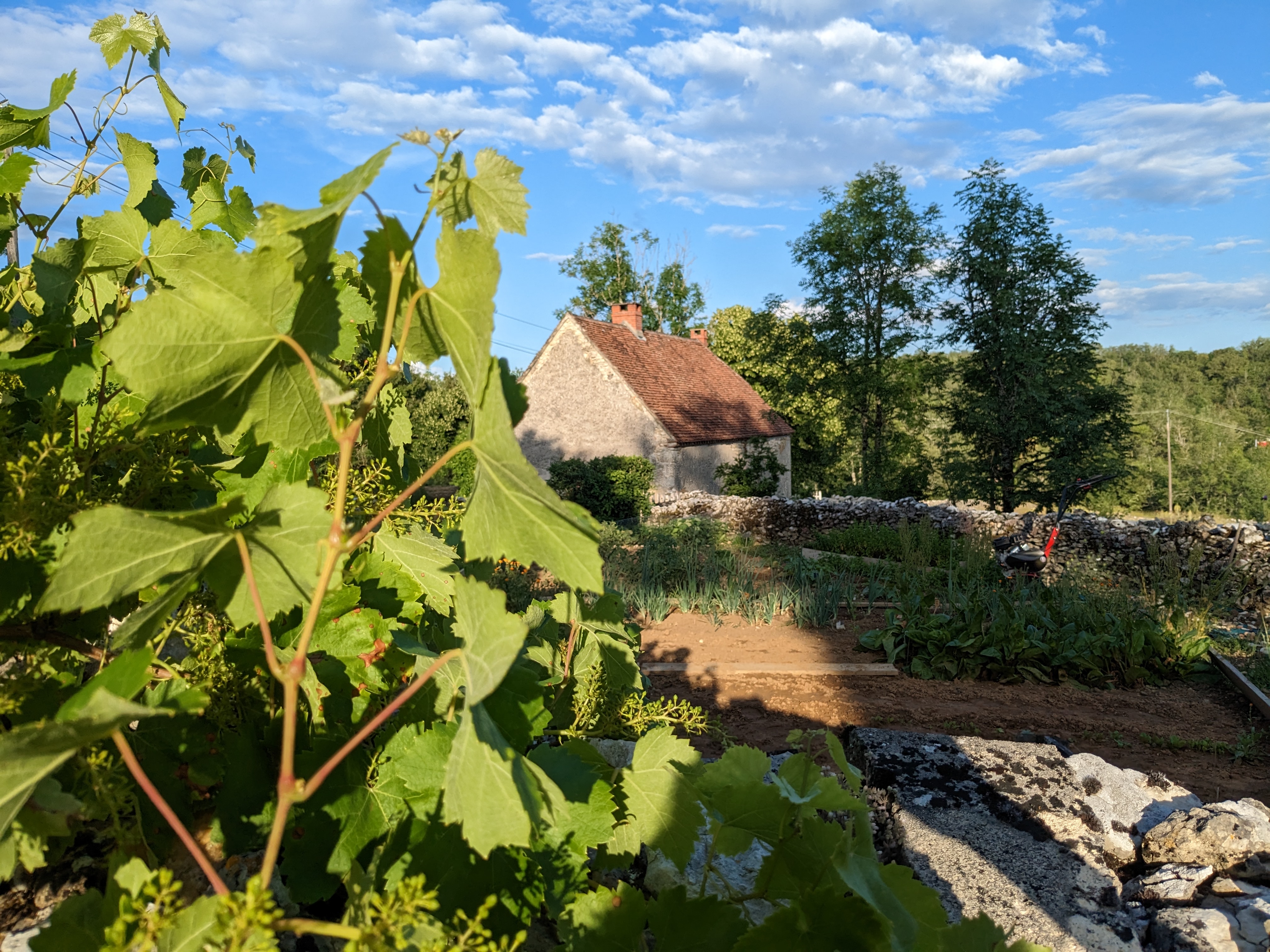 Les Pierres Lotoises - Le Cottage, Reilhaguet - photo 5