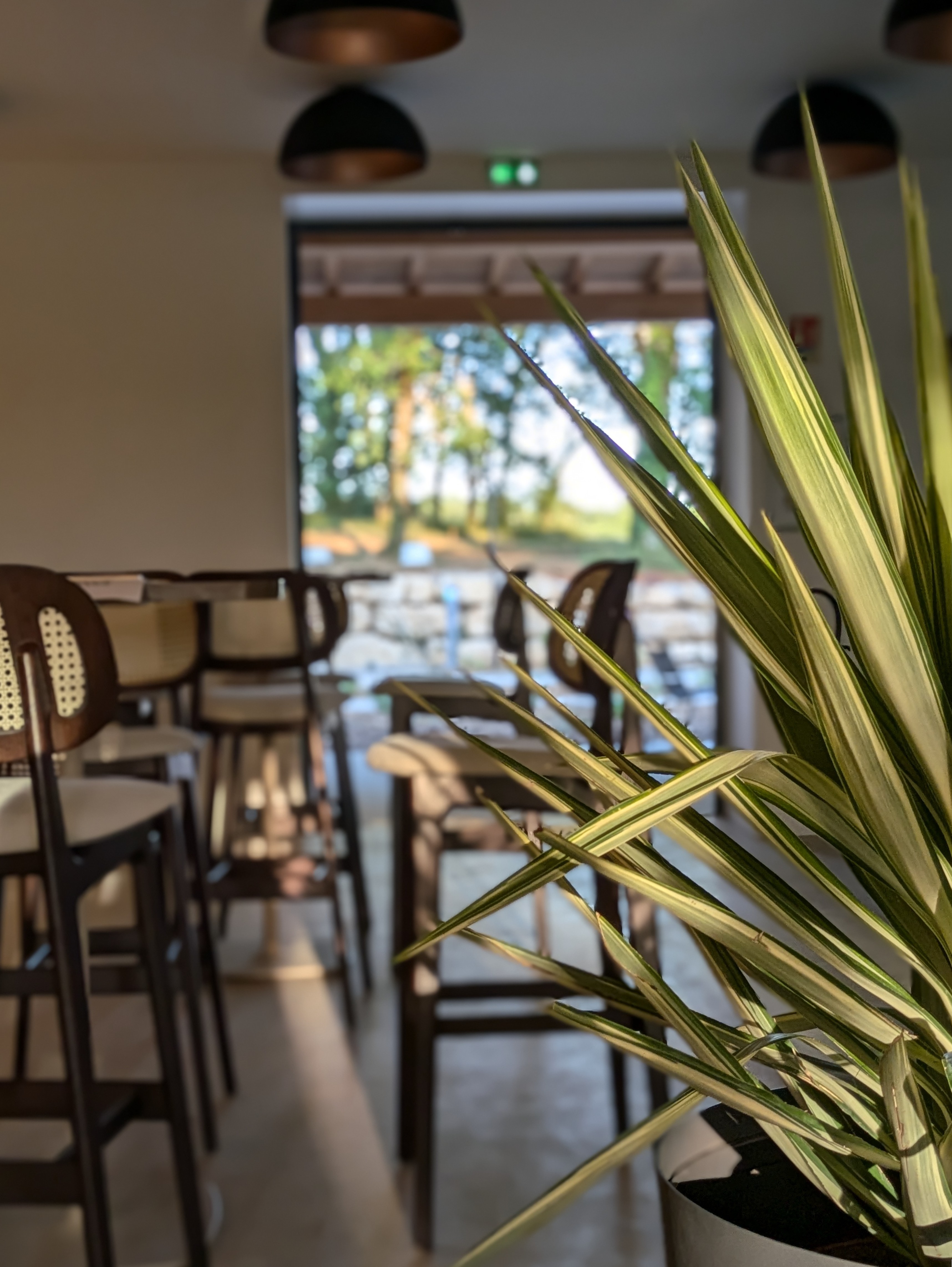 Evi Hob la Truffière, Gignac - photo 18