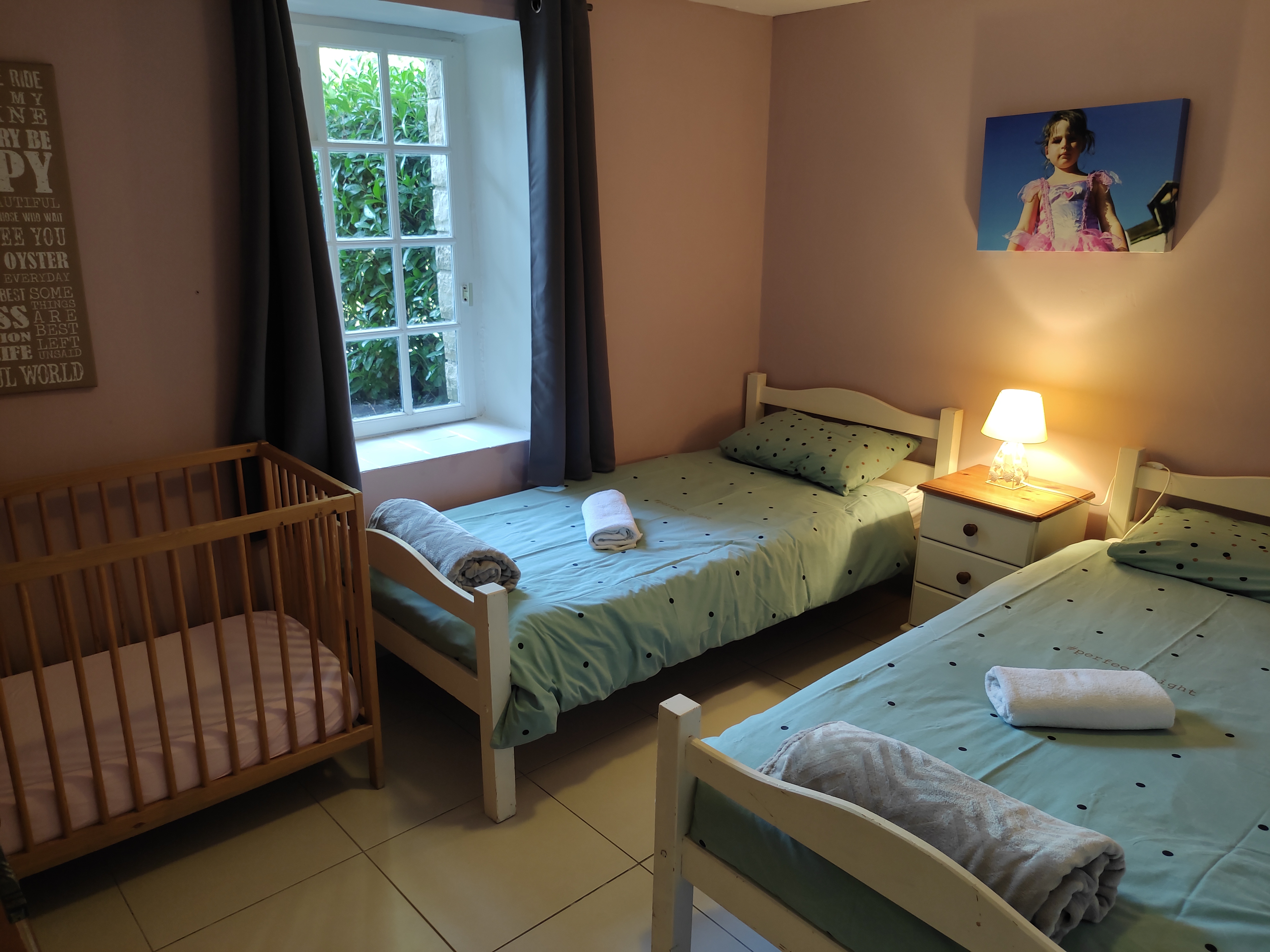 Pagel - Soleil couchant RDC, Catus - photo 11