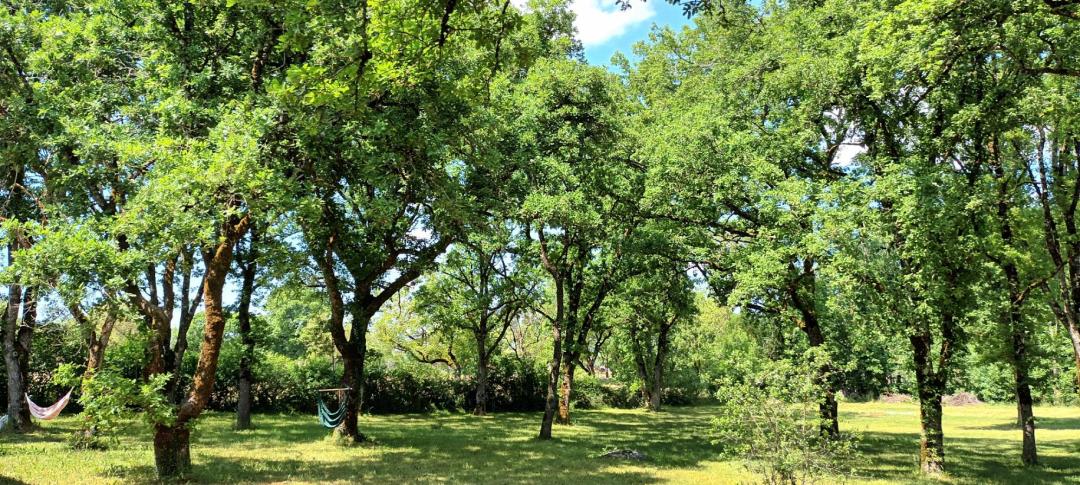 La Maison des 4 Chemins, Rocamadour - photo 6