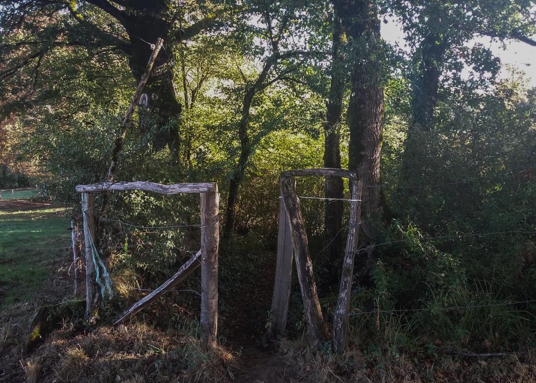 Passage pour randonneur_05 © Lot Tourisme - A. Leconte