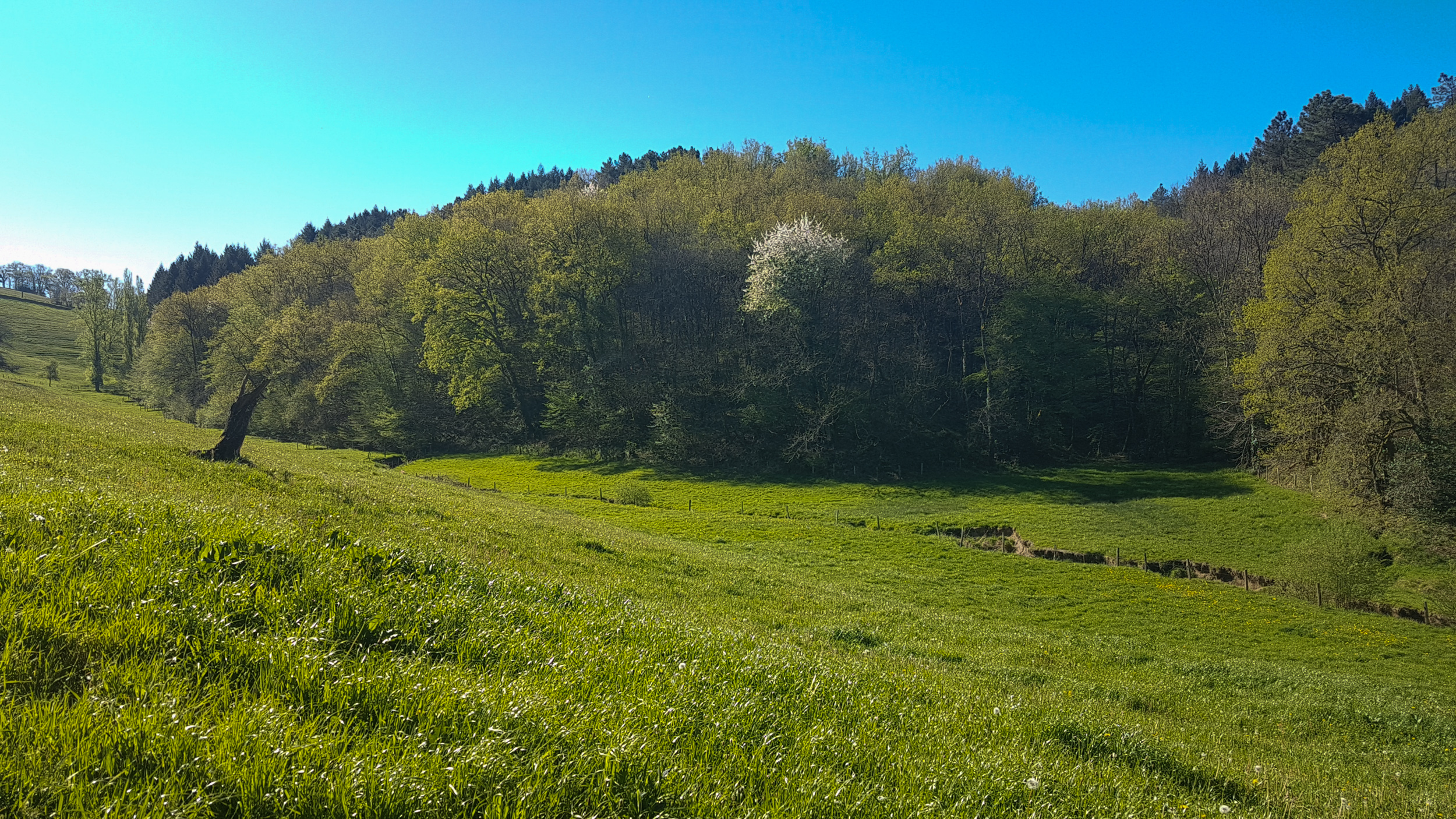 De Teyssieu à Estal, Teyssieu - photo 8