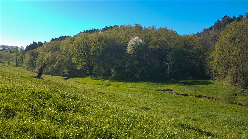 Paysage du Ségala