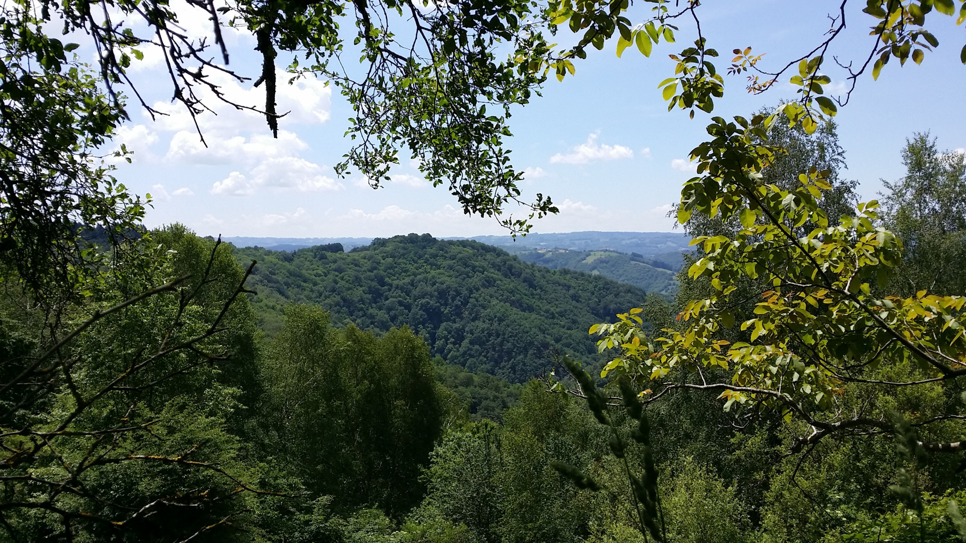 Les Jardins du Ségala, Sousceyrac-en-Quercy - photo 18
