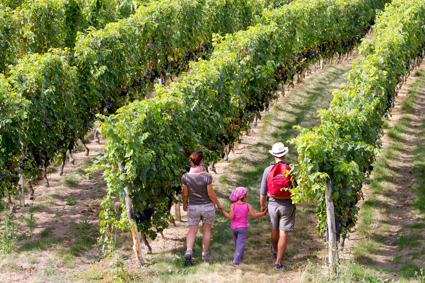 GR36  de Laramière à Bonaguil, Laramière - photo 12