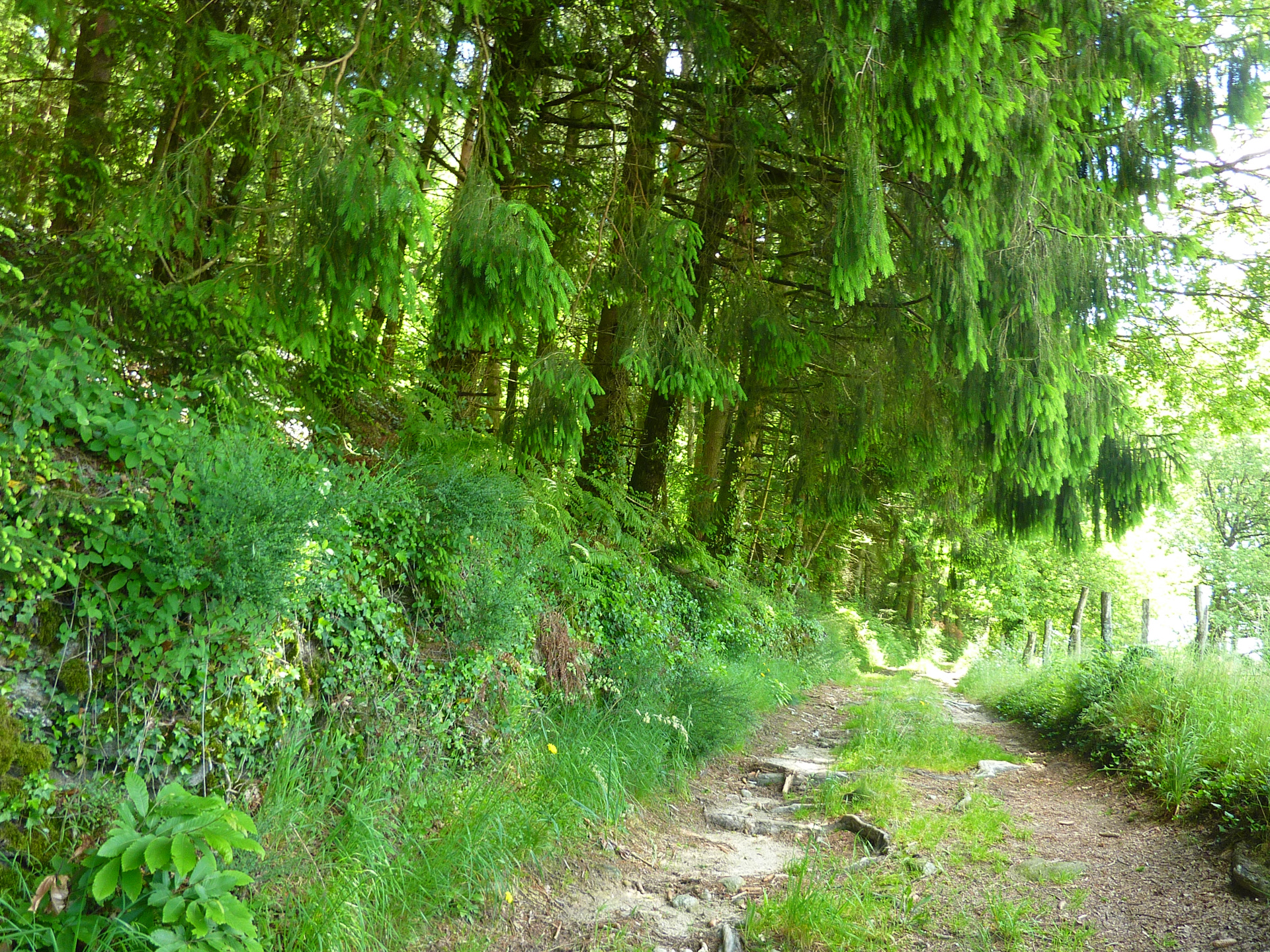 Les Jardins du Ségala, Sousceyrac-en-Quercy - photo 19