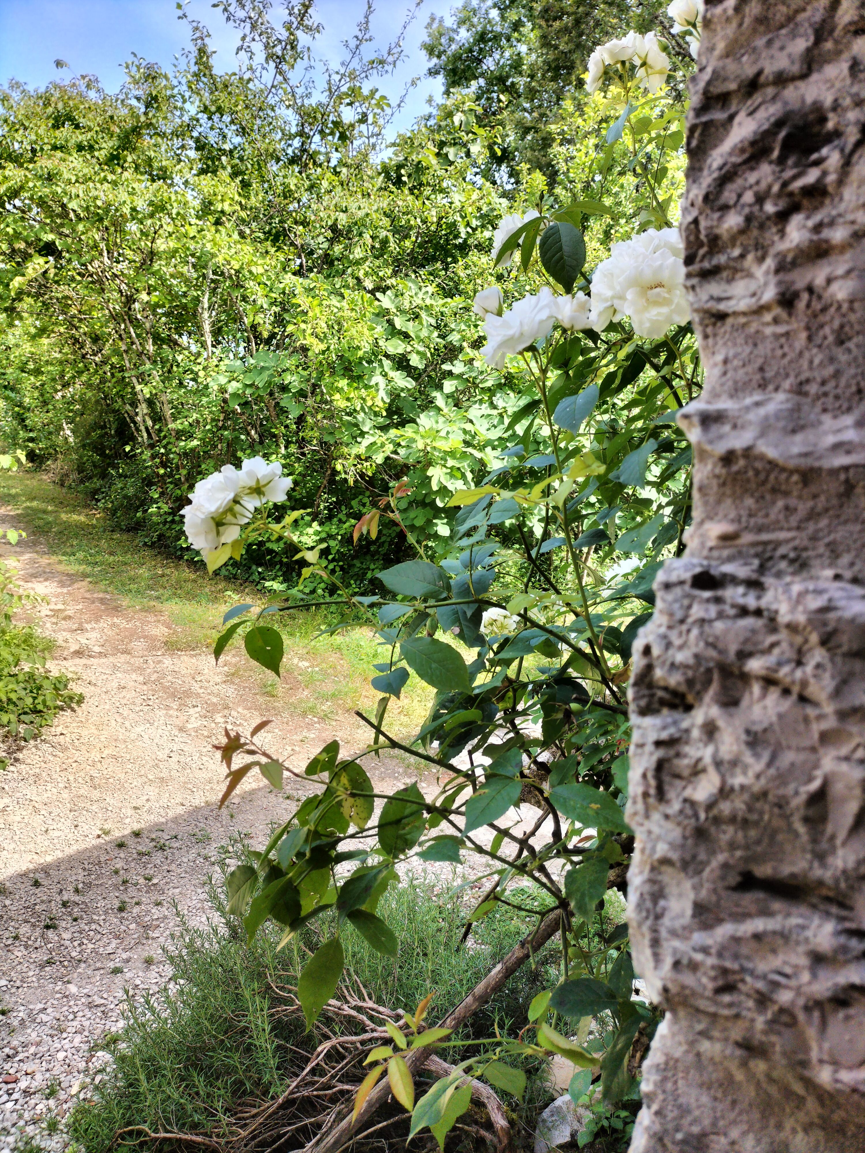 Le Soupadou, Albas - photo 13