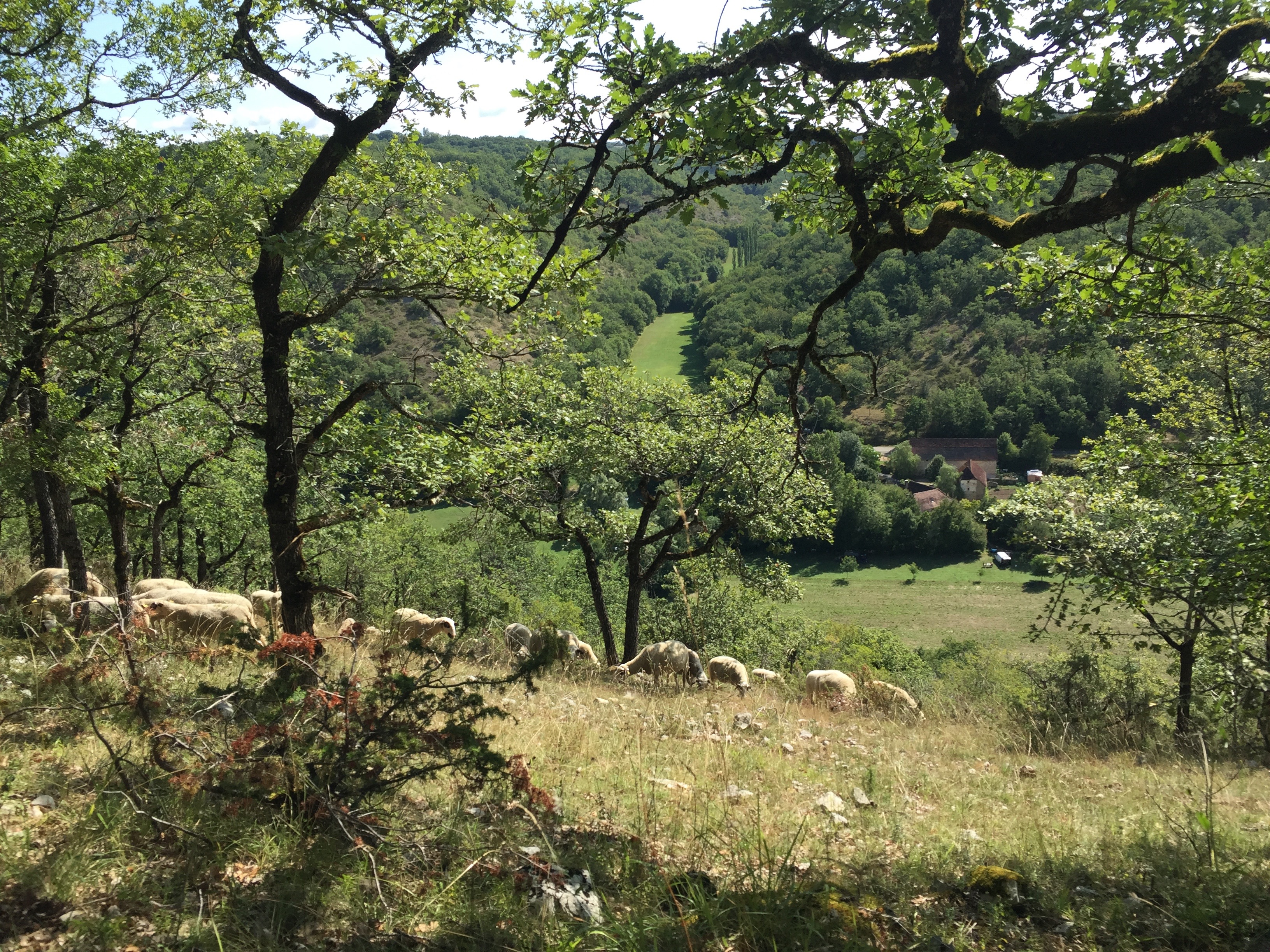 Camping à la ferme Roudayres, Les Pechs du Vers - photo 2