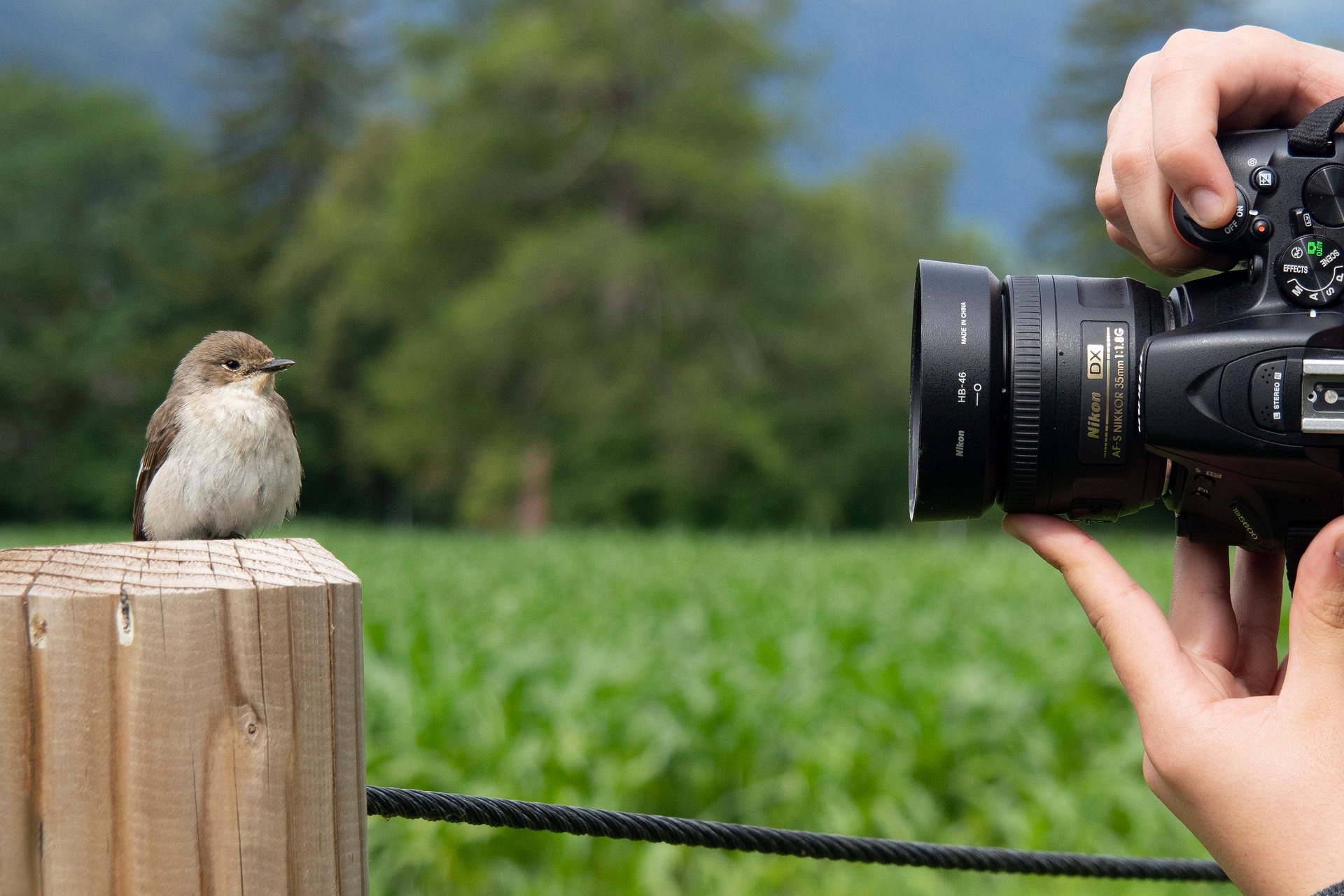 ! COMPLET ! Stage de photographie animalière au Jardin Bourian ! COMPLET !